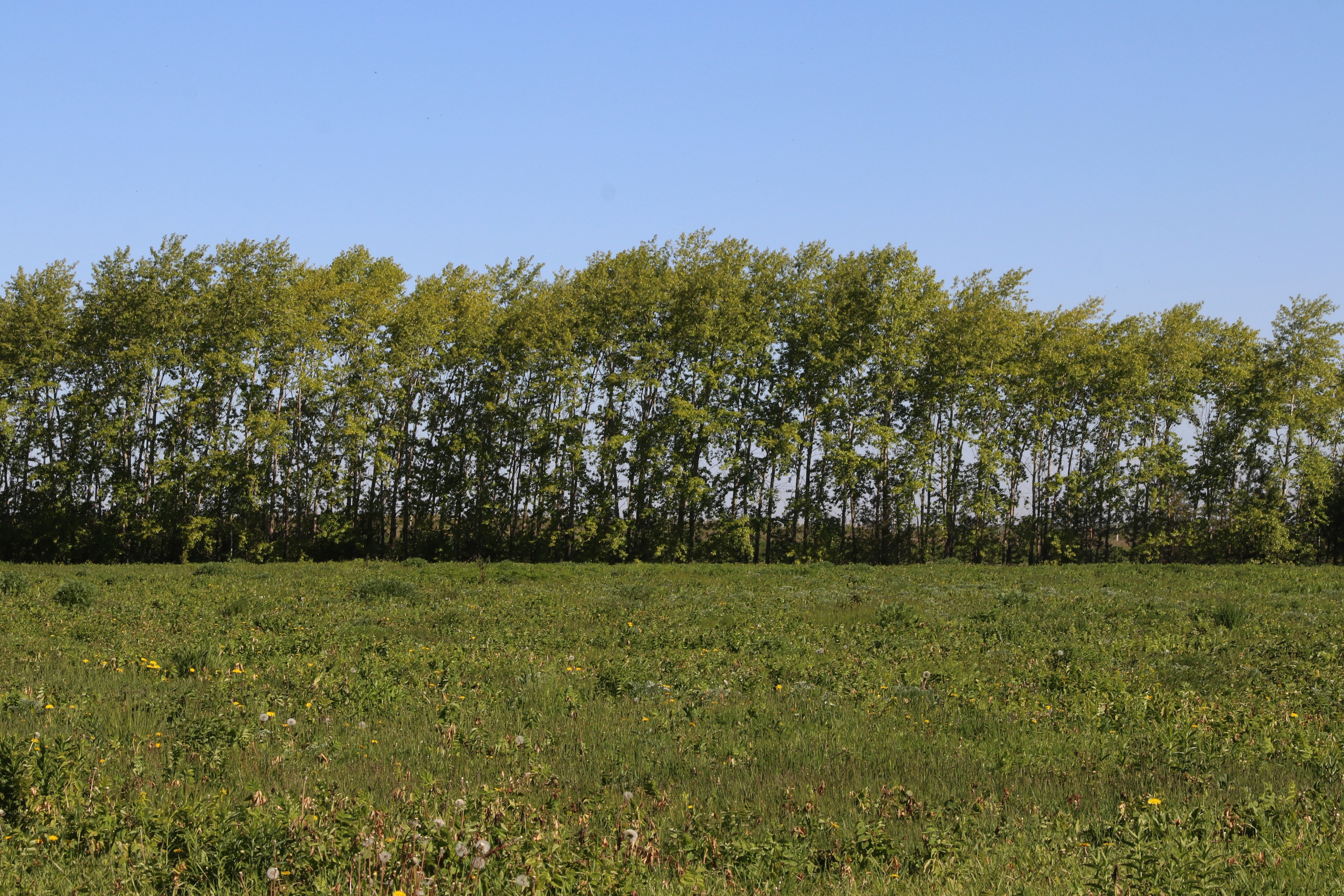 Велопоход Уфа — Мелеуз. Май 2024. Путешественник-фотограф из Санкт-Петербурга Татьяна Свистулина