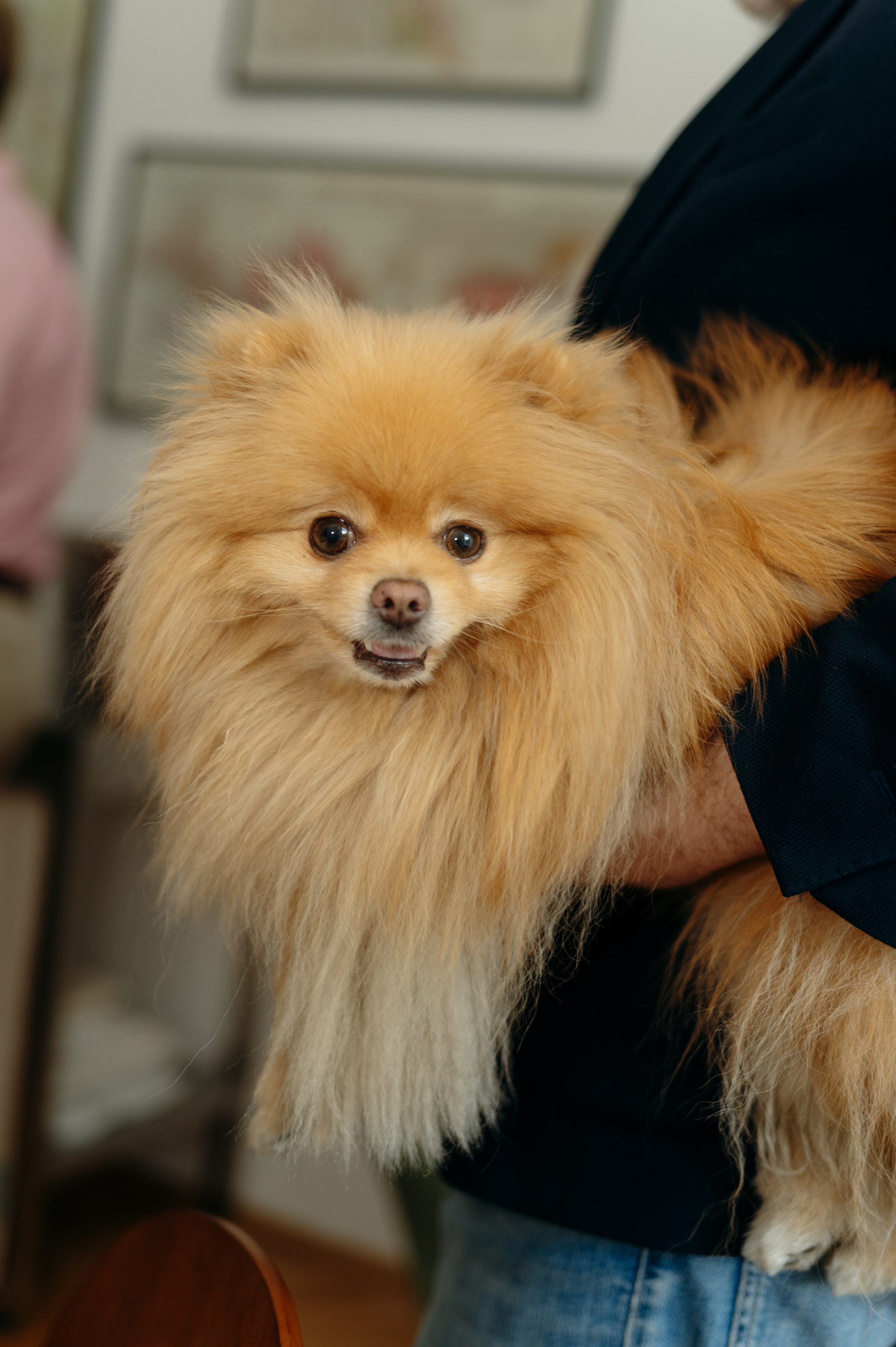 Table57. Photographer Belgrade — Tsvetkova Maria