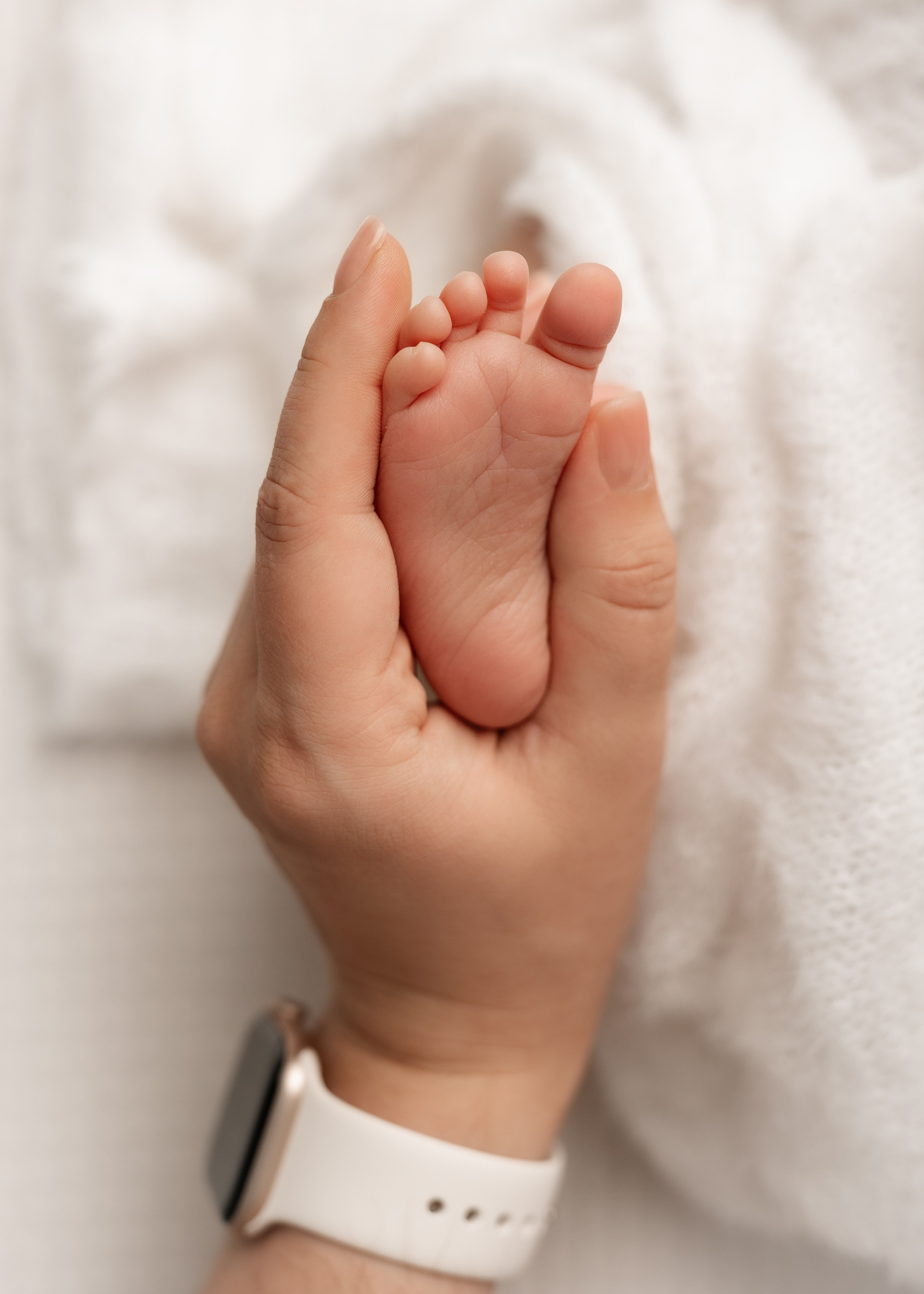 Фотосъёмка новорожденных. Фотограф Беременности и Новорождённых в Кемерово