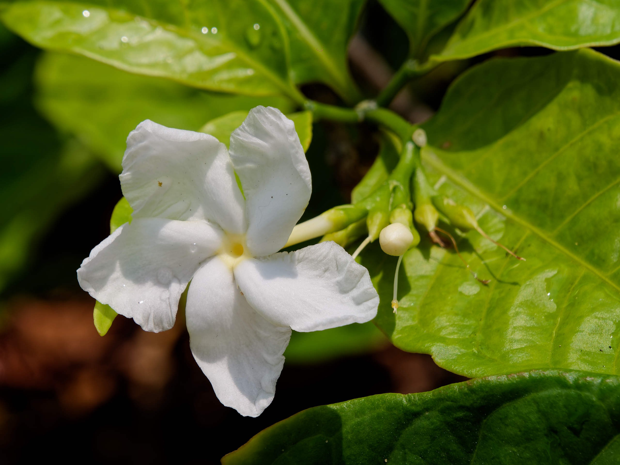 Нячанг 2025 (7). Избранные фотографии