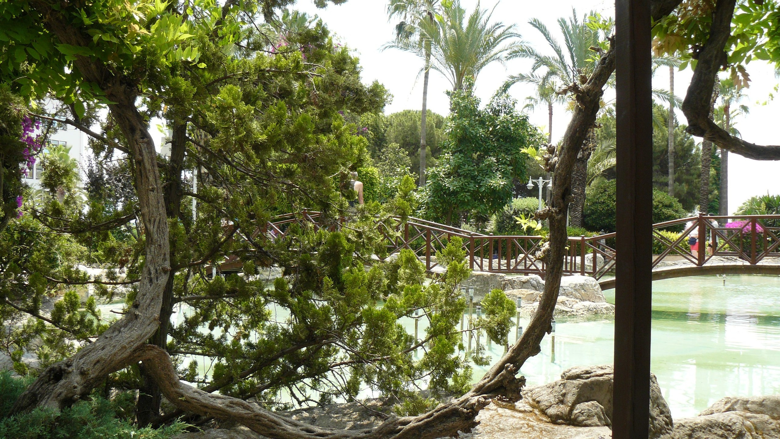 Алания 2015 порт и парк. Фотопрогулки по Миру