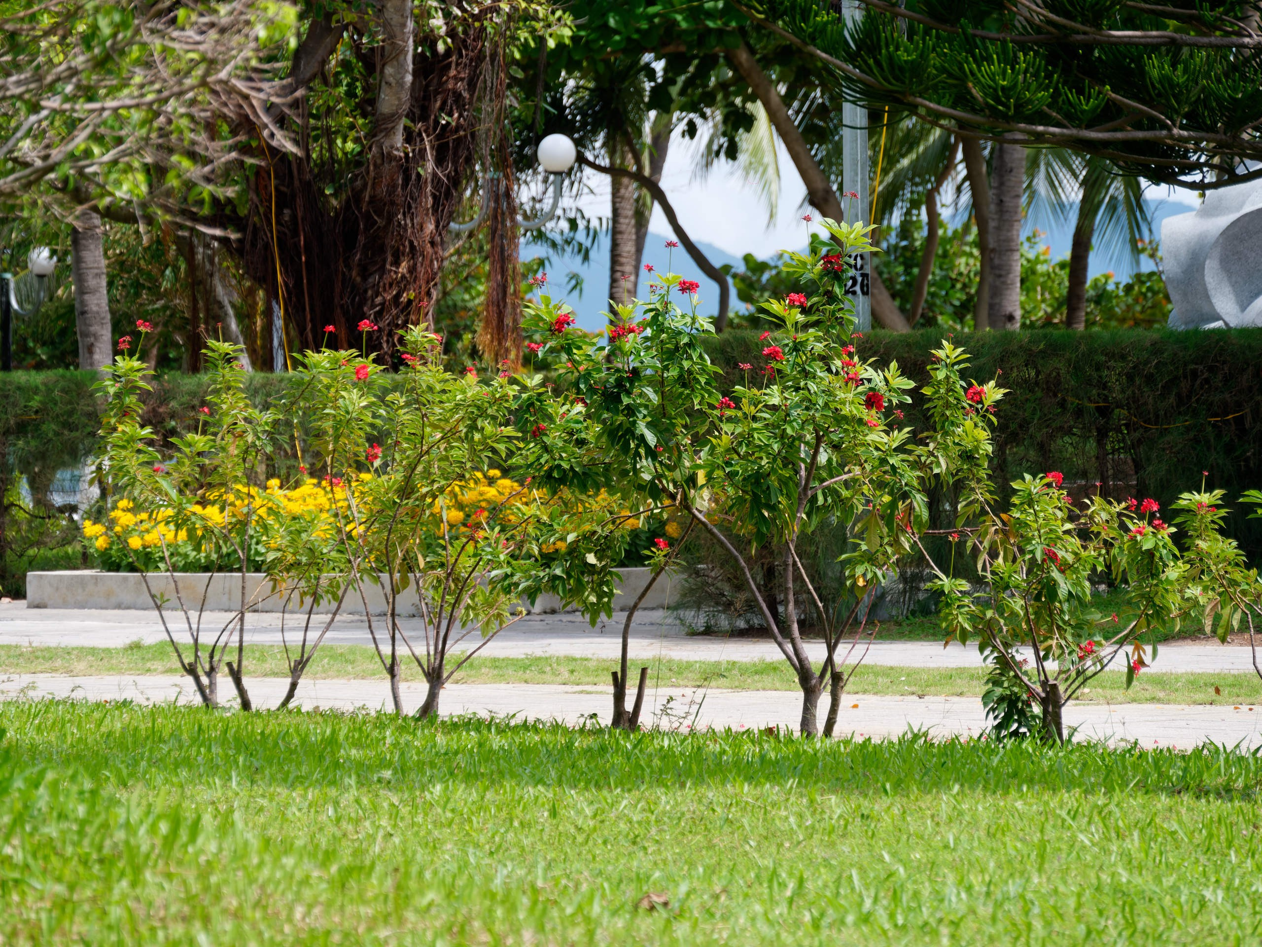 Нячанг 2023. Избранные фотографии