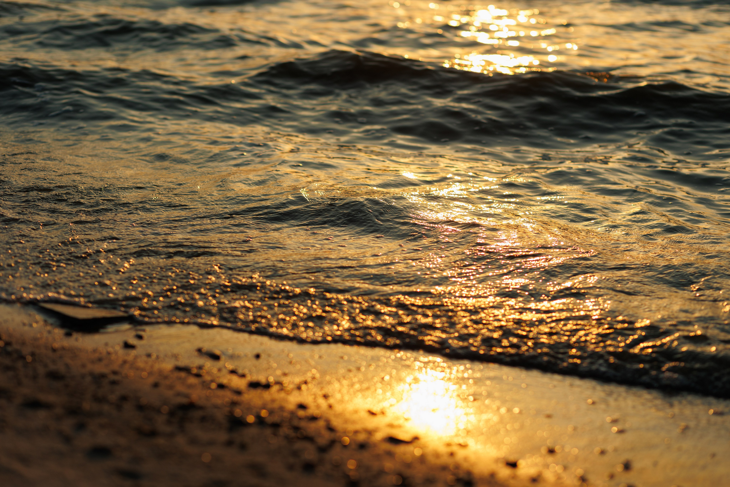 Я, ТЫ, МОРЕ!. Свадебный фотограф в Ростове-на-Дону Базарова Анастасия