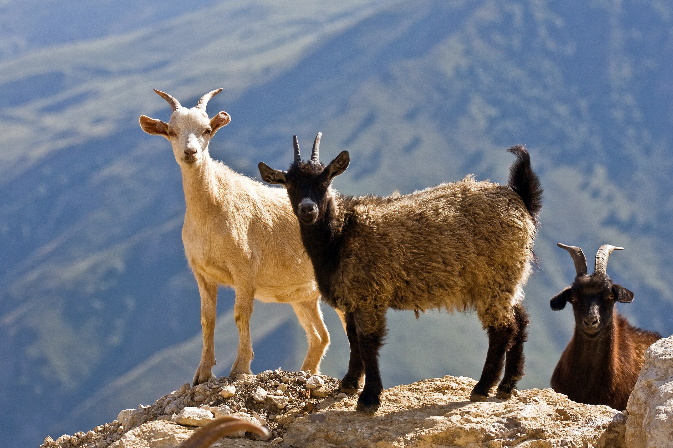 Фотография — это воспоминания…