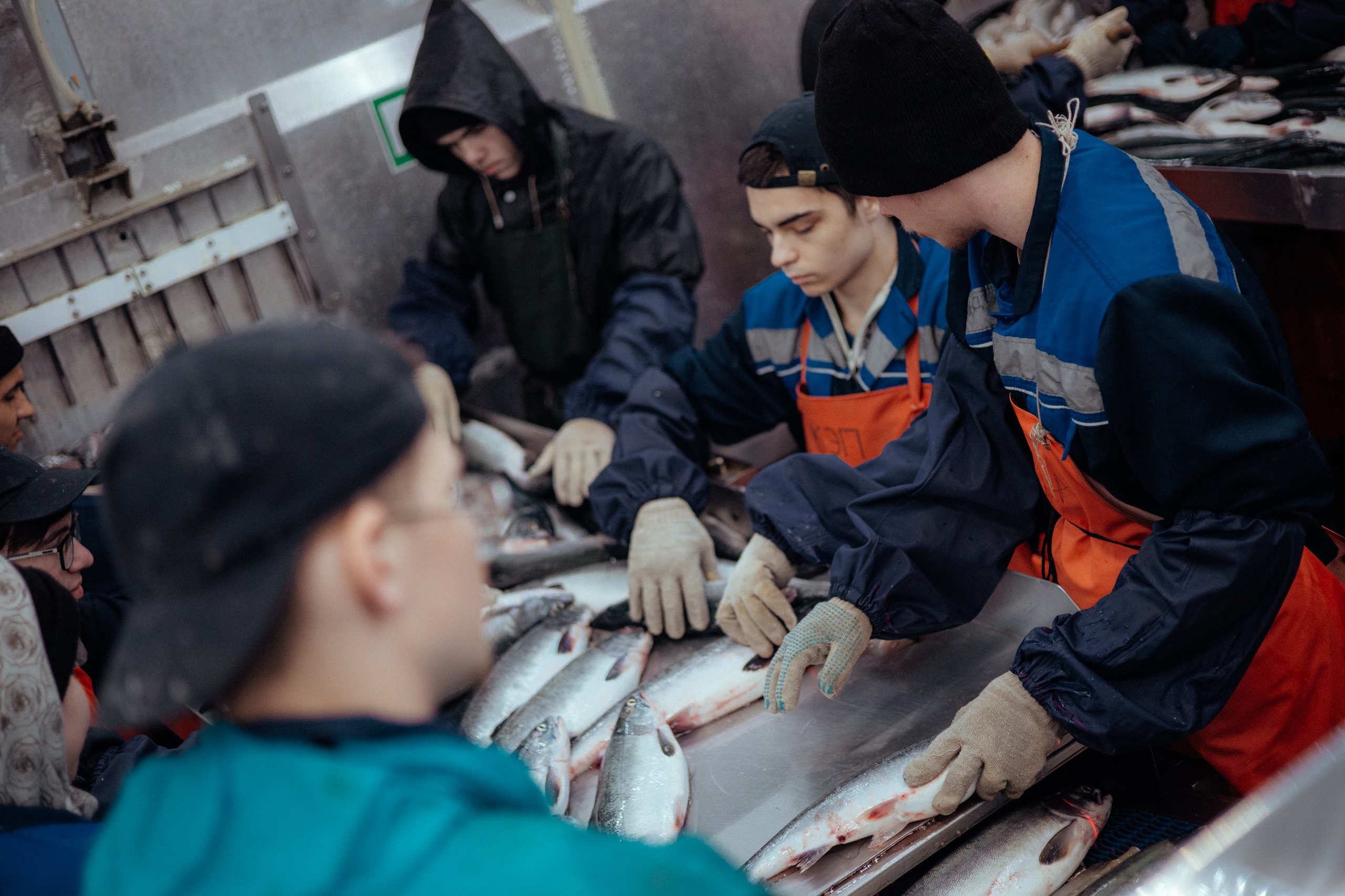 Ооо «лойд-фиш» | камчатка-2025