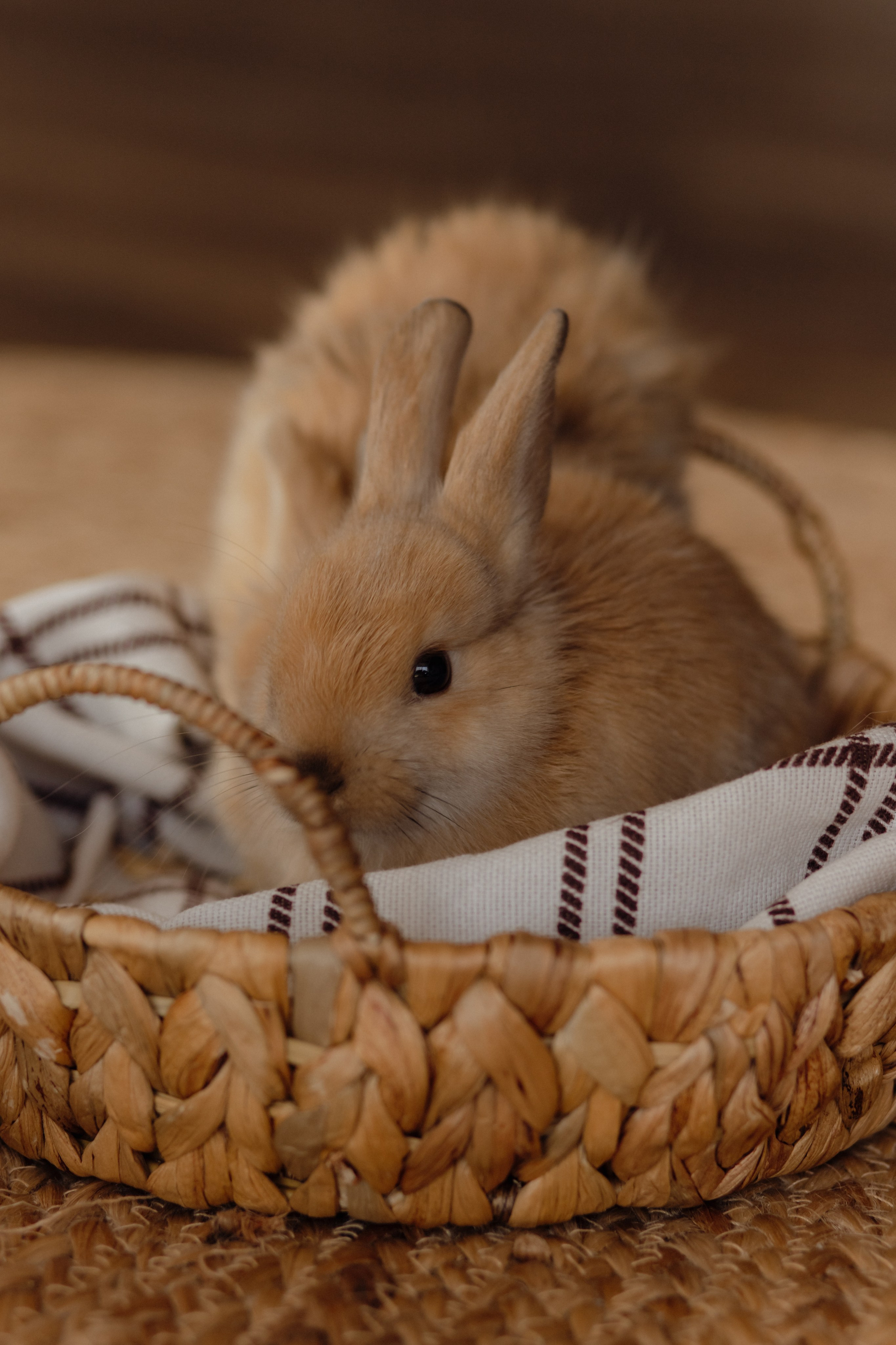 Варвара. Семейный и свадебный фотограф в Челябинске Мария Леонтьева