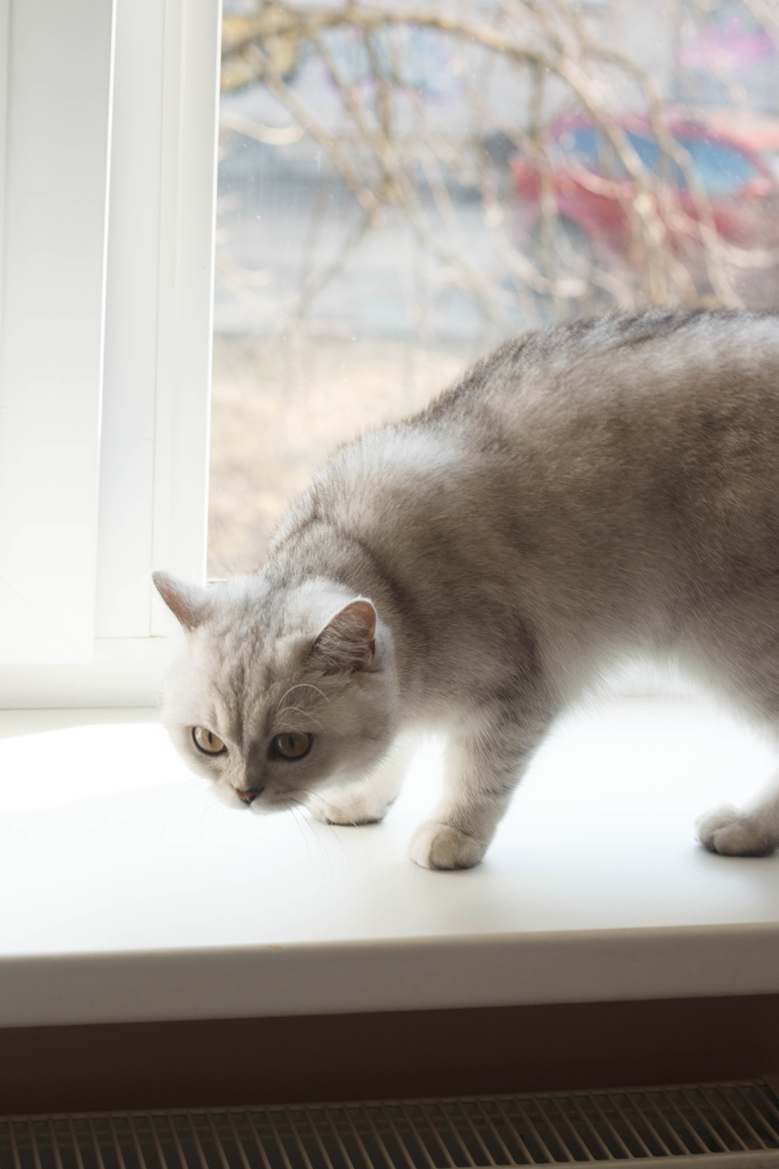 NASTYA & KITTI. Бережно сохраняю ваши чувства и истории на своих фотографиях