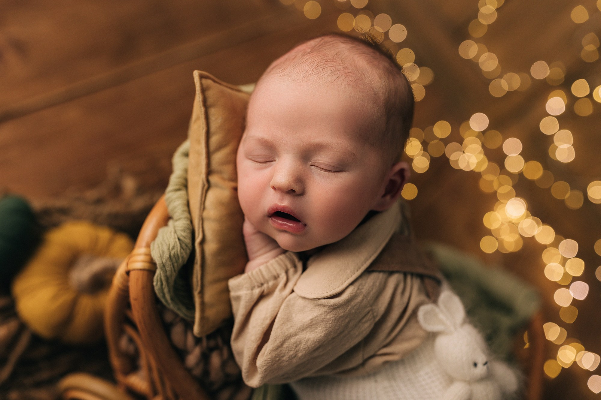 Лев 7 дней. Семейный фотограф новорождённых в Серпухове Юлия Новикова +79637785957