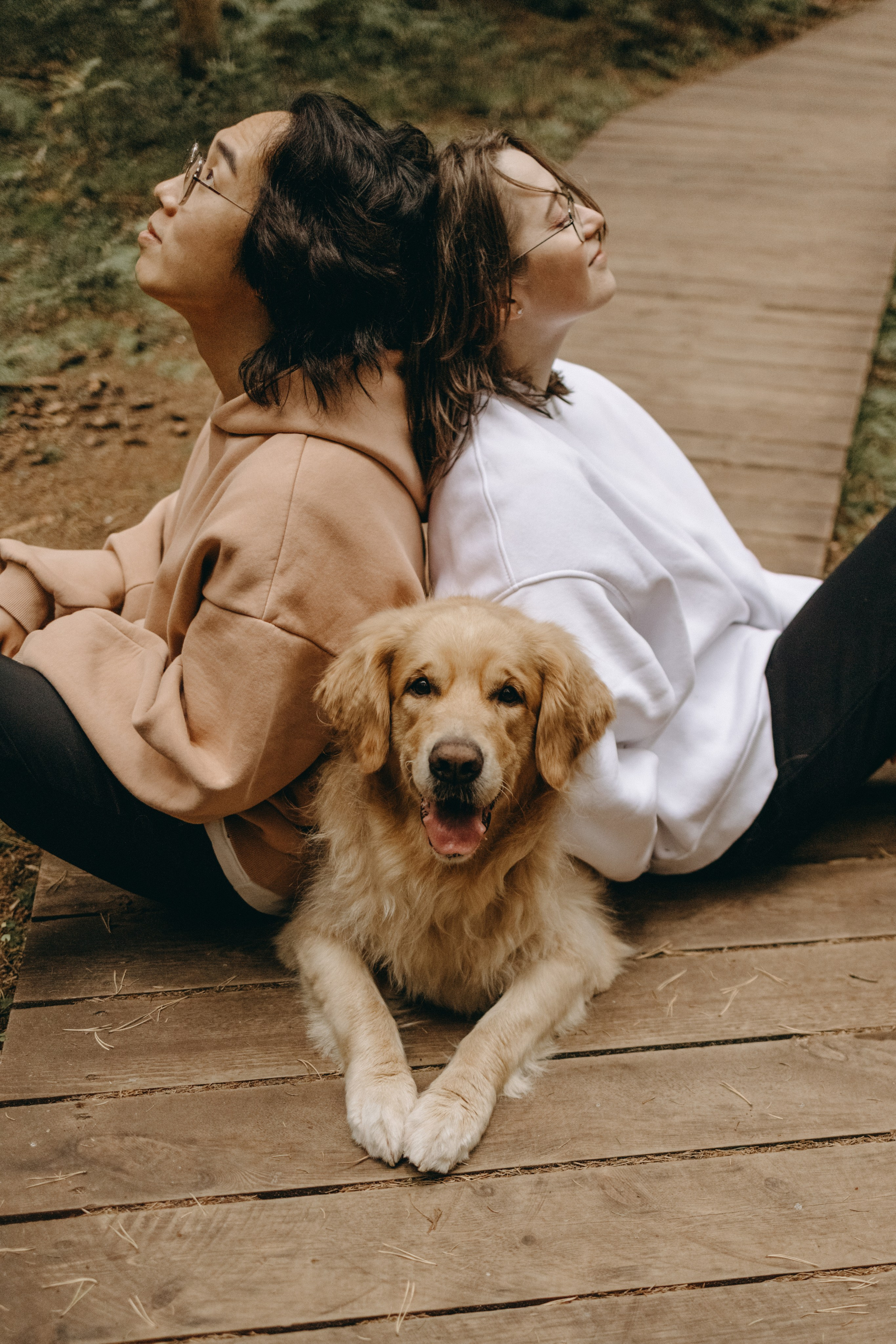 Фоси и его семьи. Фотограф — Анималист | Санкт-Петербург
