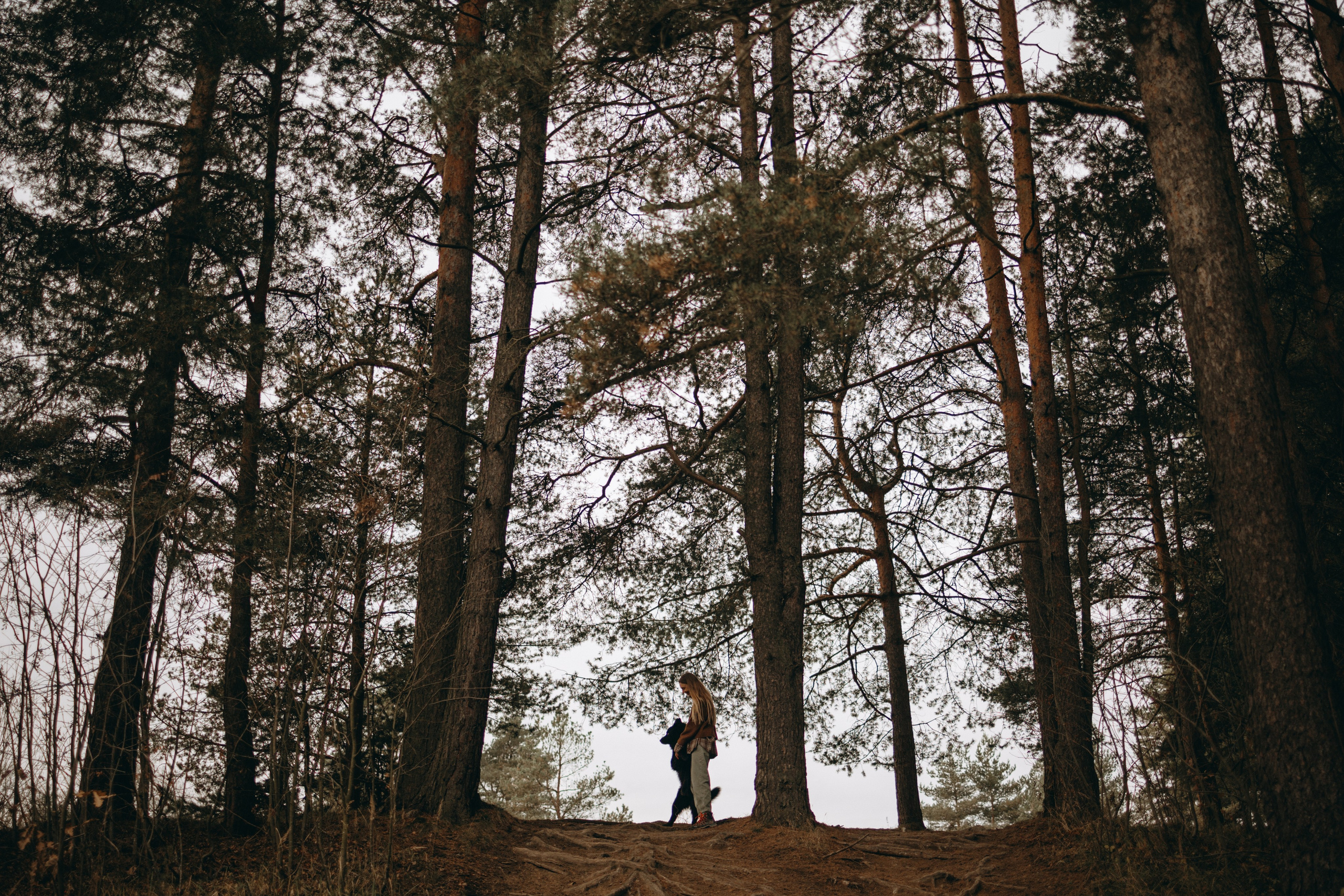 Лора и Джанго. Фотограф — Анималист | Санкт-Петербург