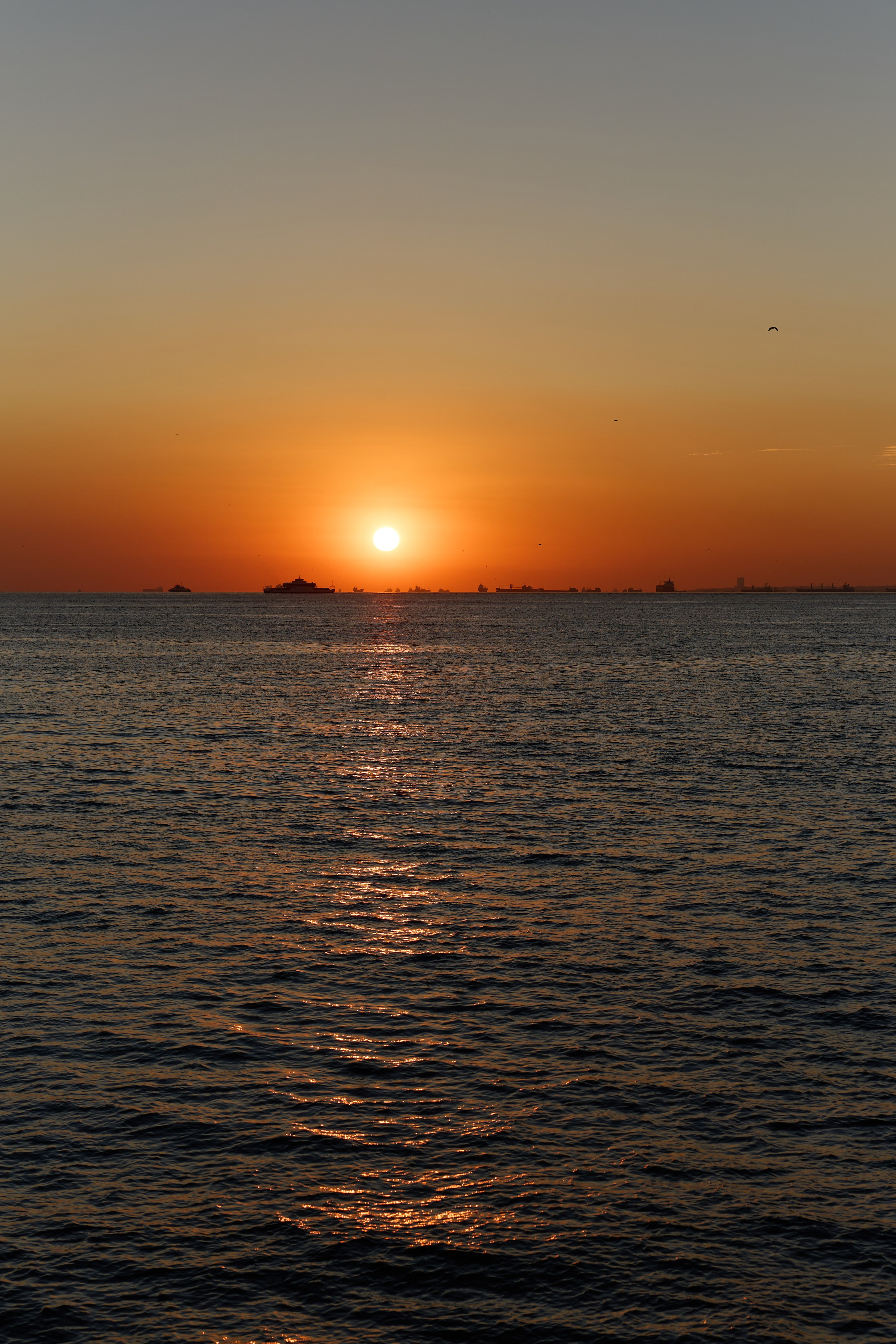 Стамбул 24. Фотограф Москва, Дима Пеллер