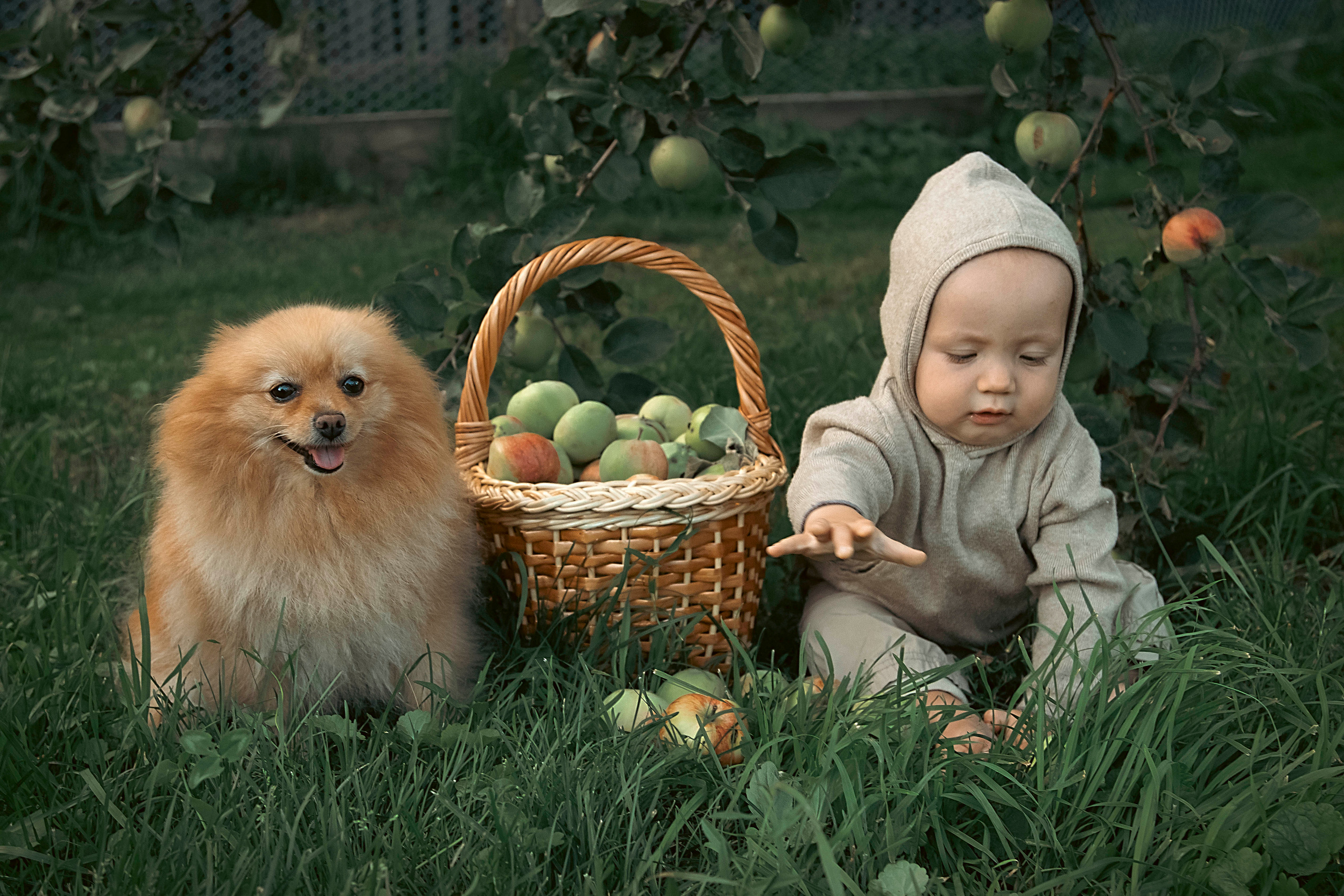 Матвей. Фотограф Ольга Бобб Нижний Новгород
