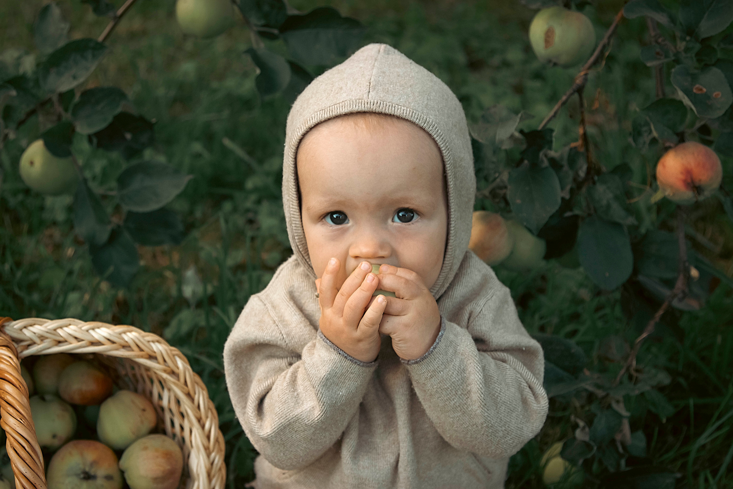 Матвей. Фотограф Ольга Бобб Нижний Новгород