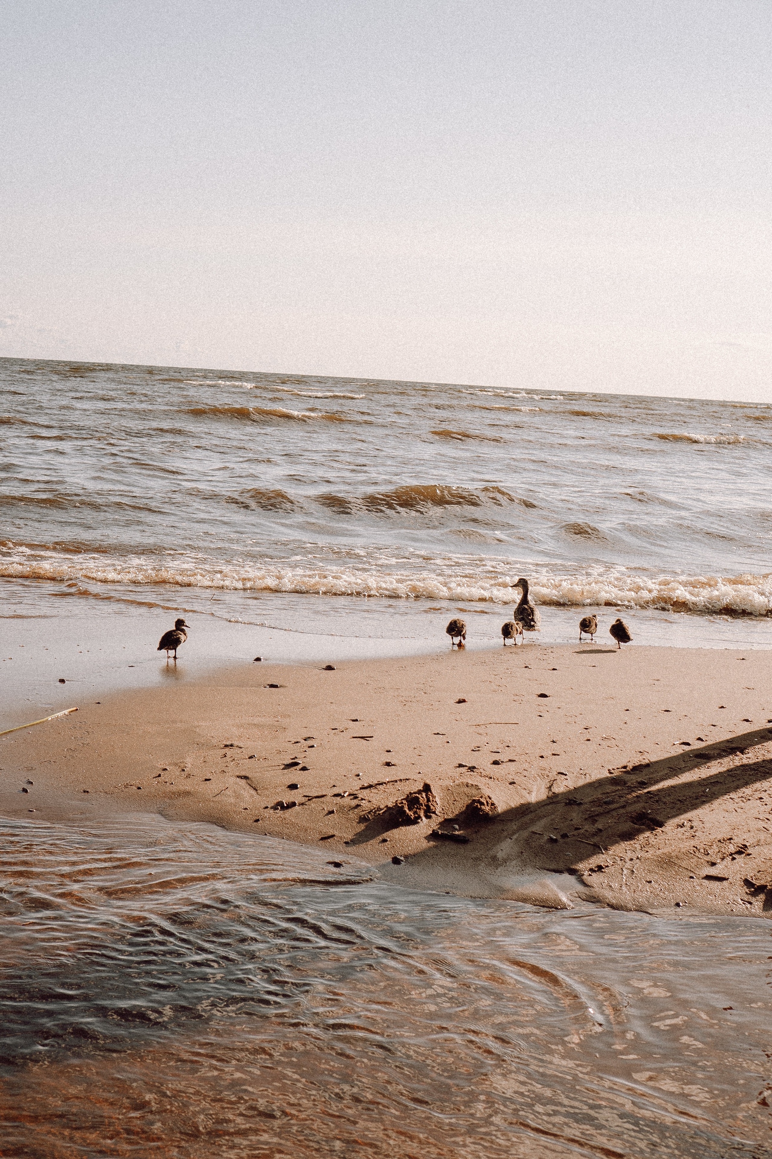 РОМАНТИКА ФИНСКОГО ЗАЛИВА. Профессиональный фотограф, Санкт-Петербург — Виктория Богомолова