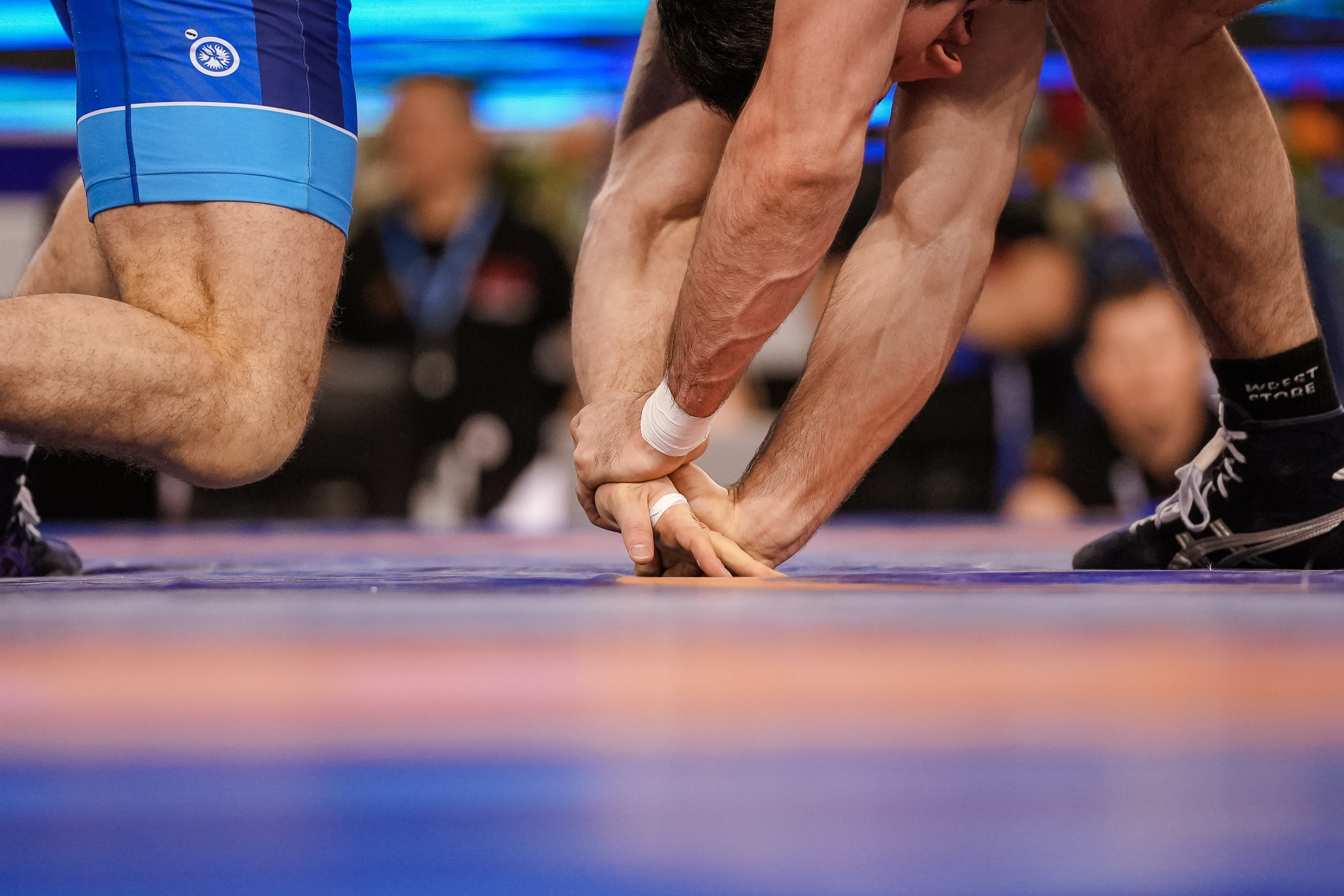 Кубок Ивана Ярыгина 2024 фото / Ivan Yarygin Cup 2024 photos. Фотограф Анна Герман. Красноярск