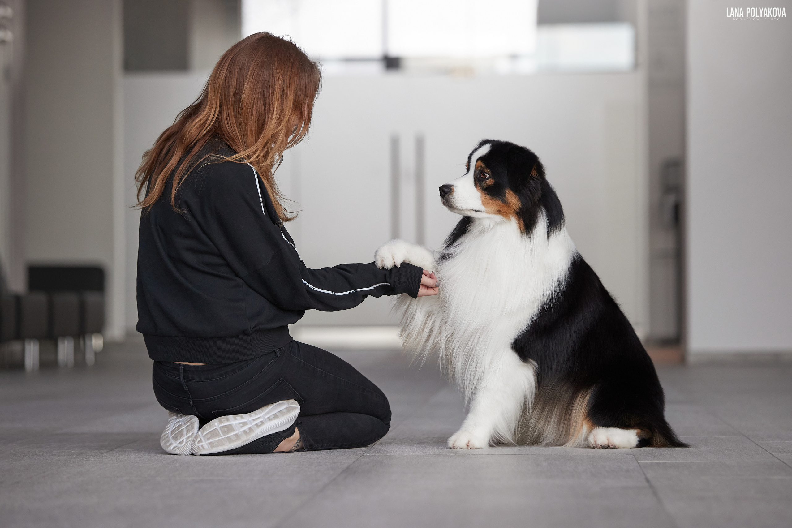 NDS Grand prix «Spring Petersburg 2022» «Elite-Petersburg 2022». ФОТОГРАФ-АНИМАЛИСТ l LANA POLYAKOVA