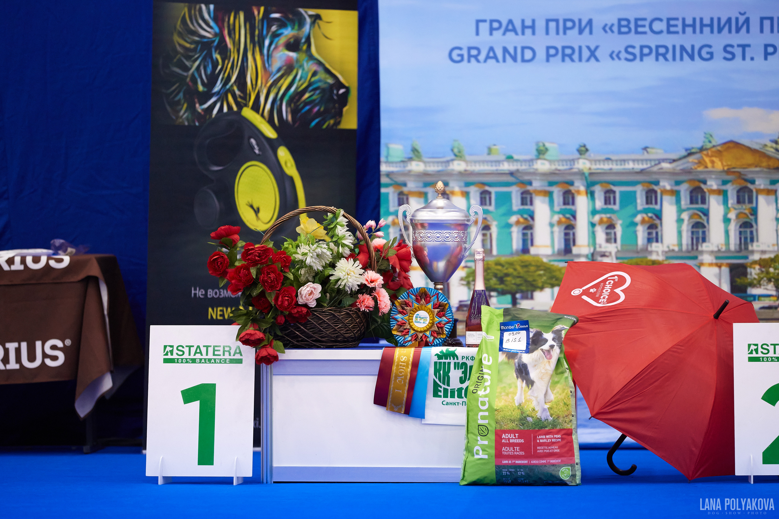 NDS Grand prix «Spring Petersburg 2022» «Elite-Petersburg 2022». ФОТОГРАФ-АНИМАЛИСТ l LANA POLYAKOVA