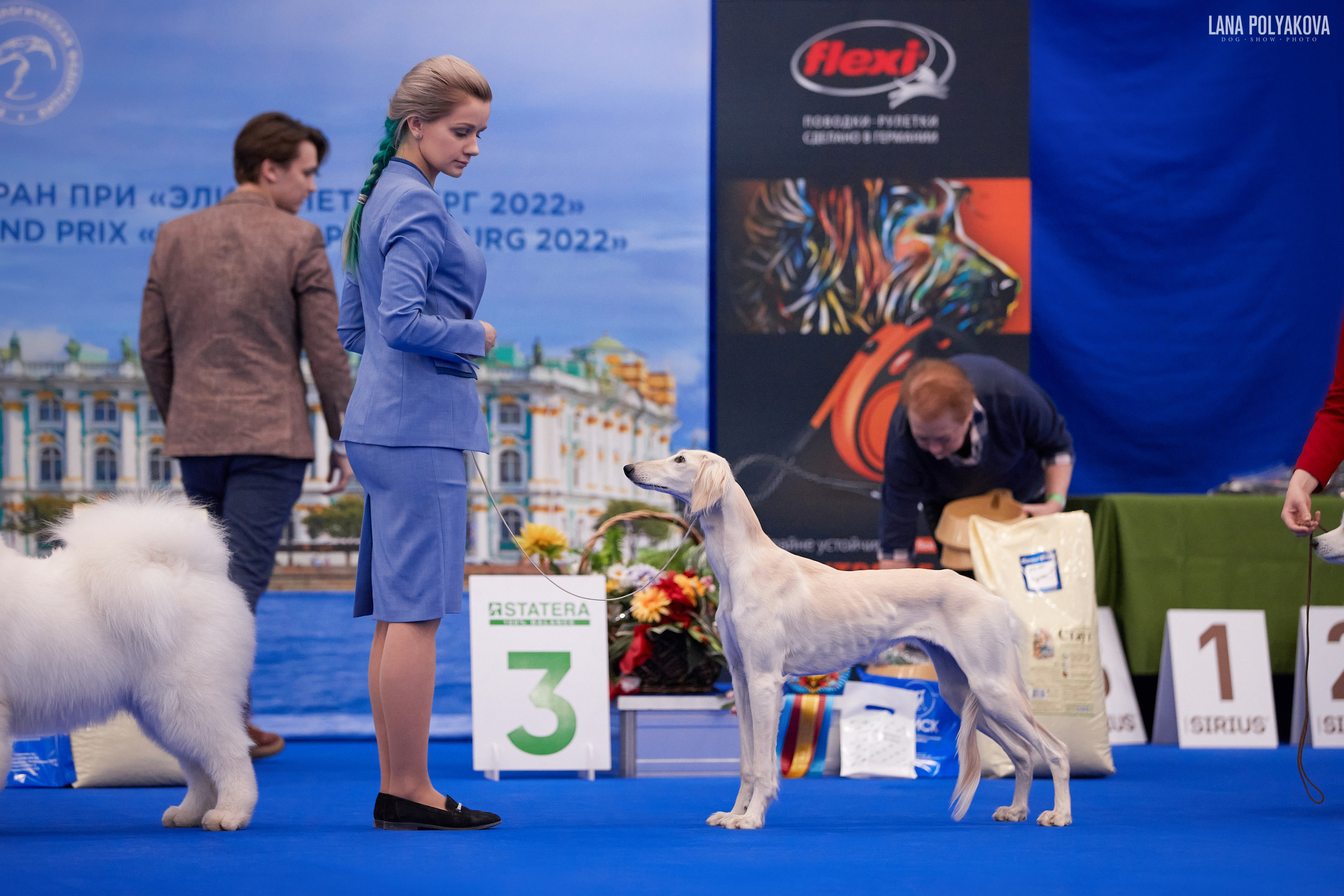 NDS Grand prix «Spring Petersburg 2022» «Elite-Petersburg 2022». ФОТОГРАФ-АНИМАЛИСТ l LANA POLYAKOVA