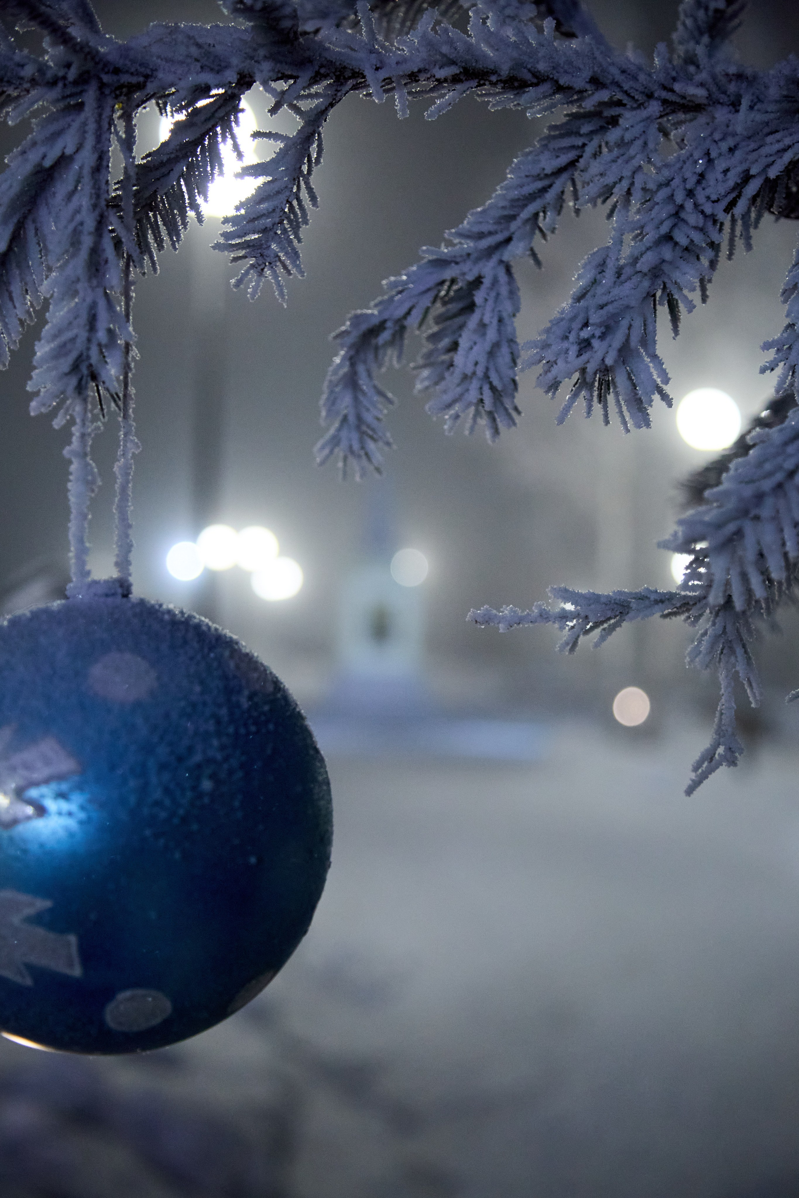 Новогодний Омск 2025. Фотограф Омск | Александр Вандеров