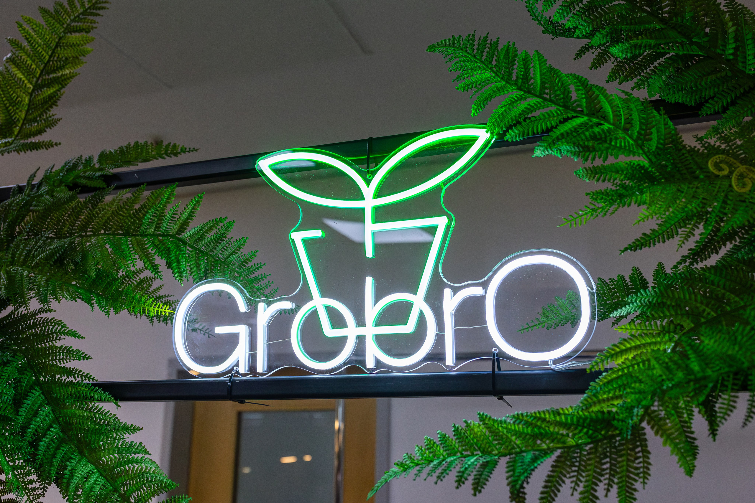 Монстериум апрель 2026. Александра Куликова фотограф, Москва