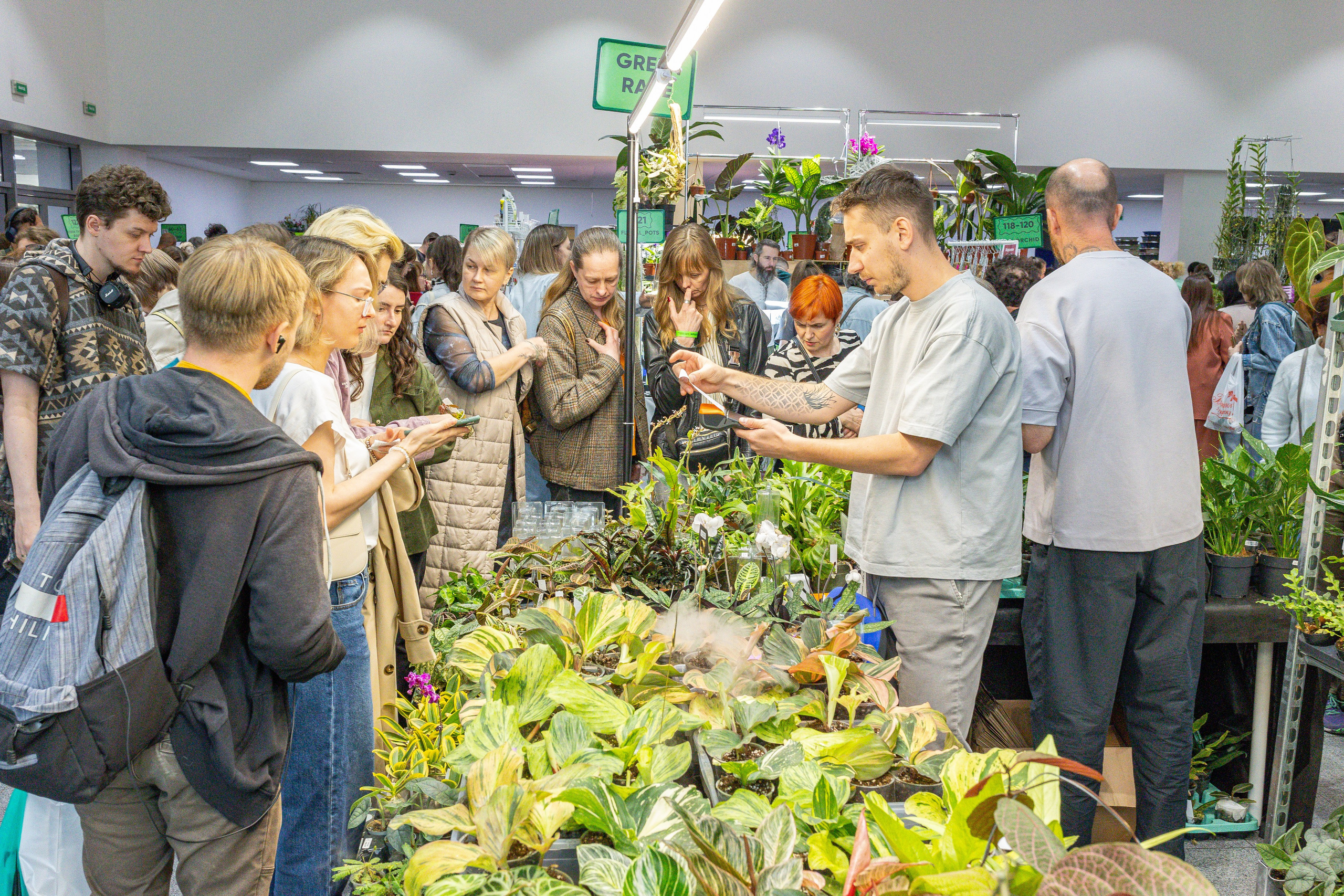 Орхидиум май 2025. Александра Куликова фотограф, Москва