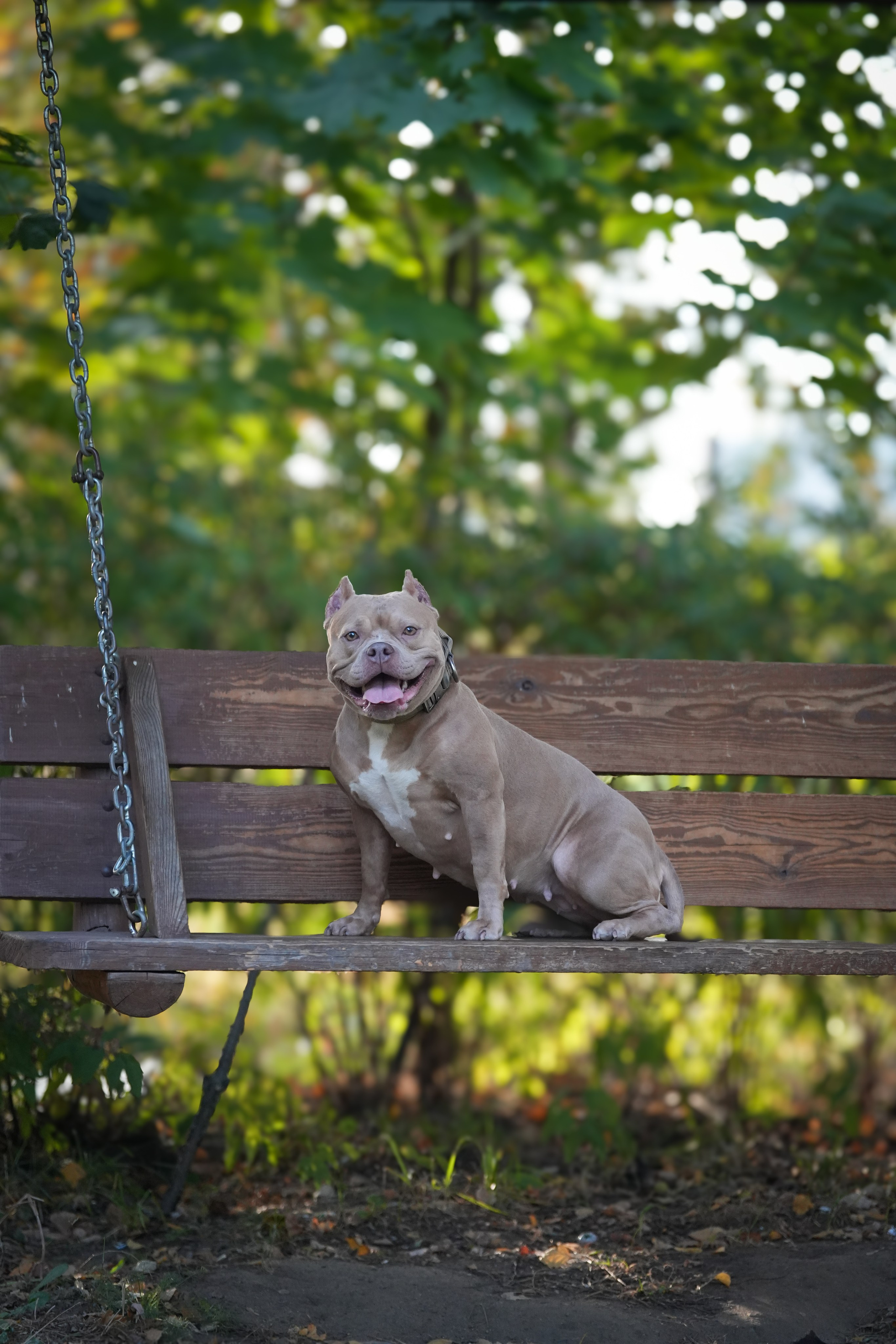 АмБулли Адель. Фотограф-анималист Асадова