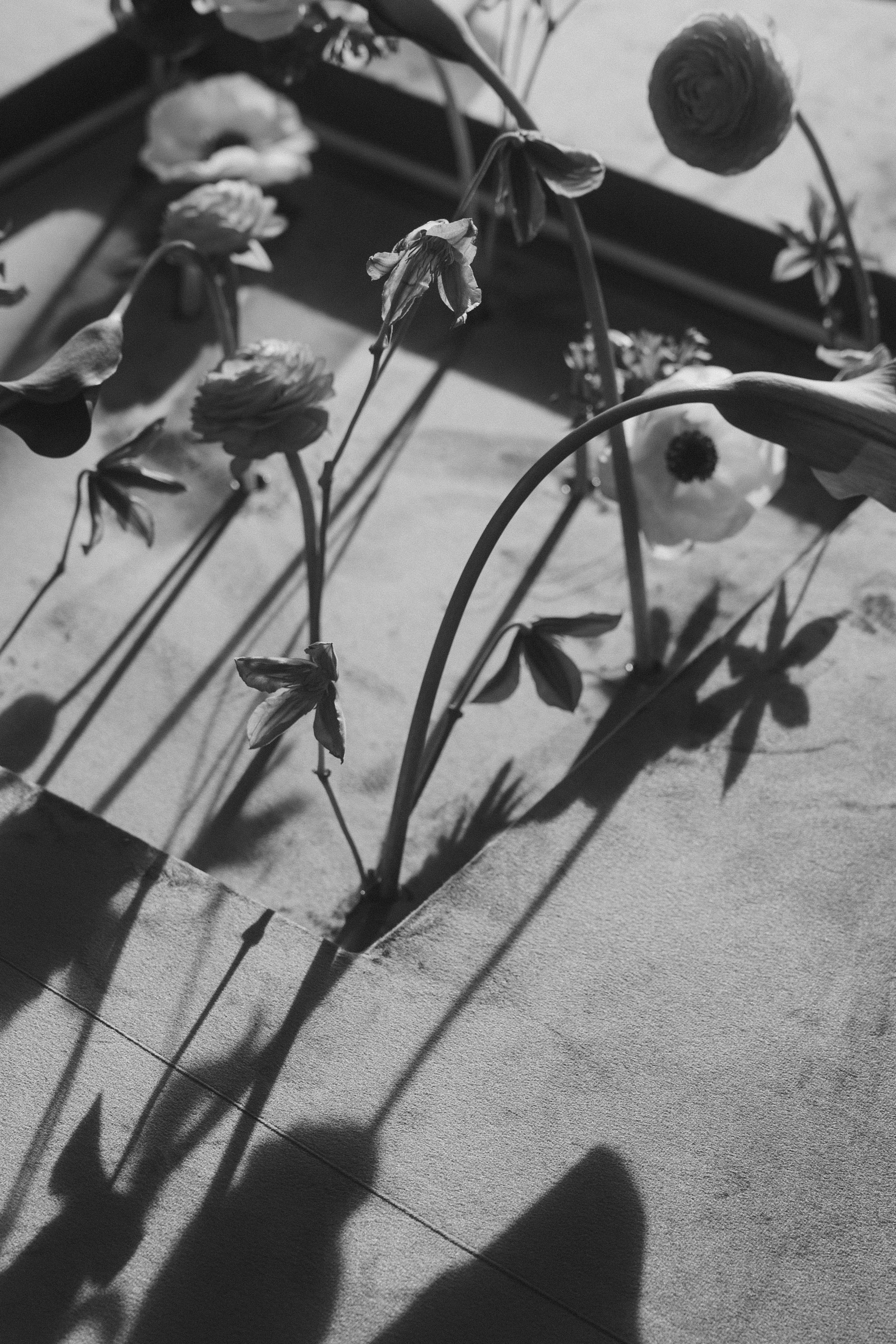 Свадебный фотограф в Нижнем Новгороде и Москве Николай Майоров