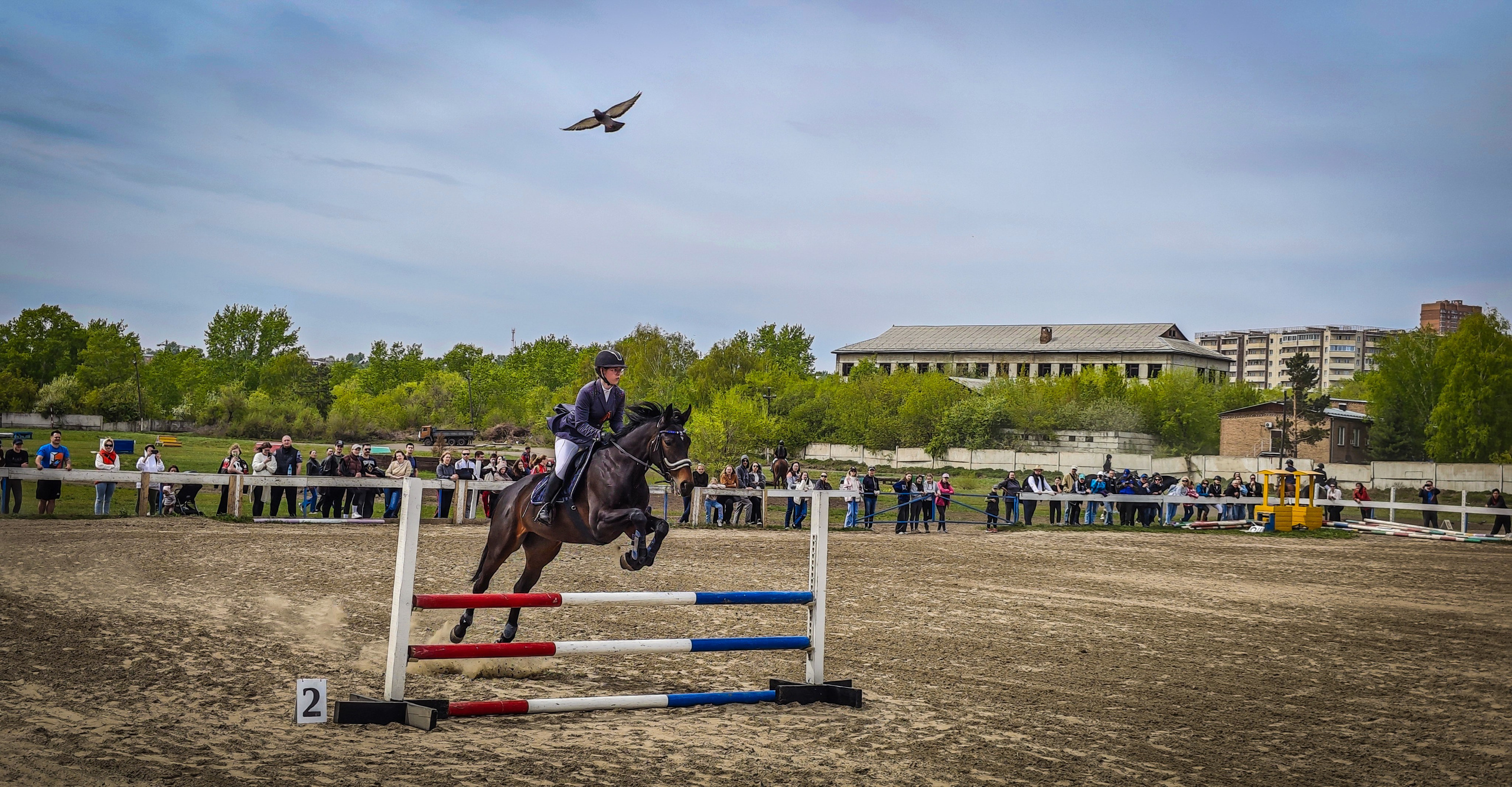 Красноярский ипподром. Открытие сезона 2025. Игорь Урывский. Фотограф Красноярск