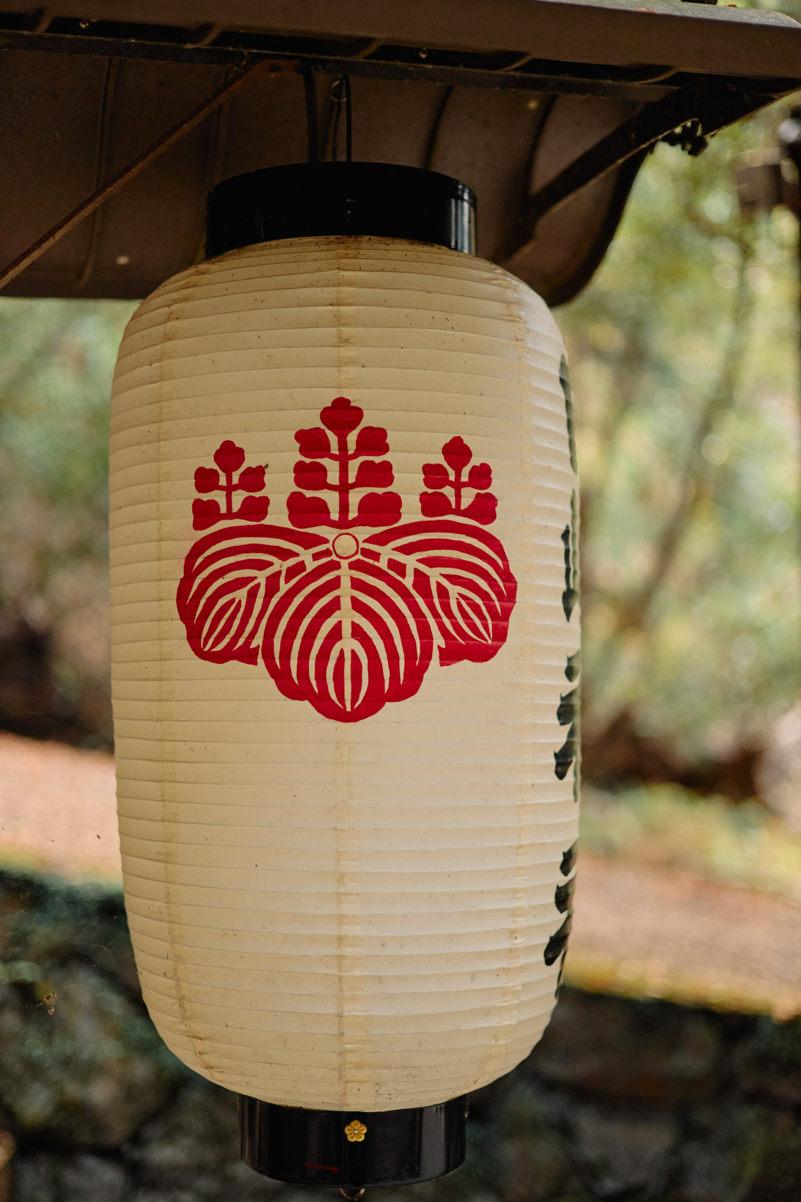 Япония. Профессиональный Фотограф во Владимире, в Москве и в Суздале — Полина Романычева