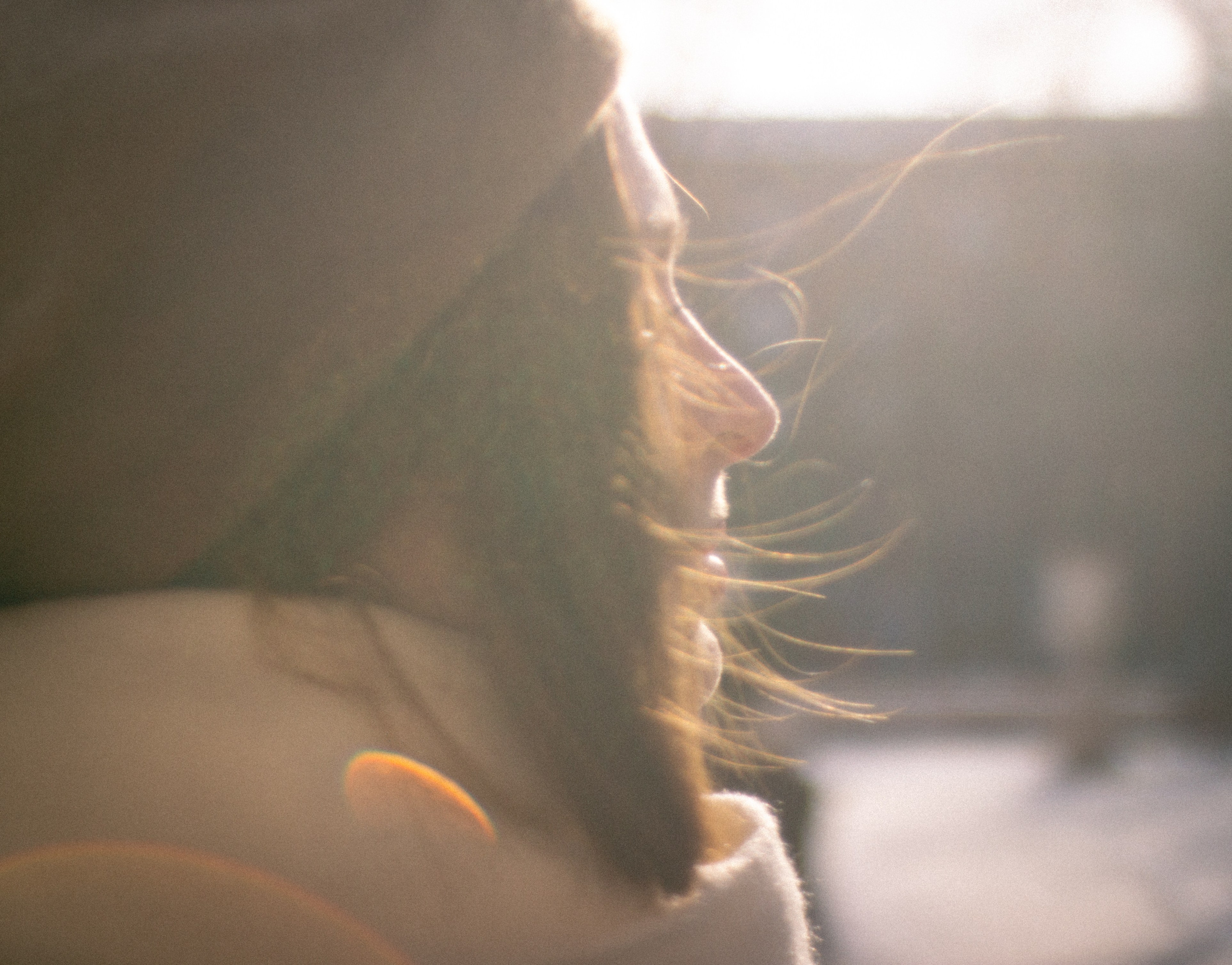 В городе зима. • Фотограф Александра Светозар Алчевск •