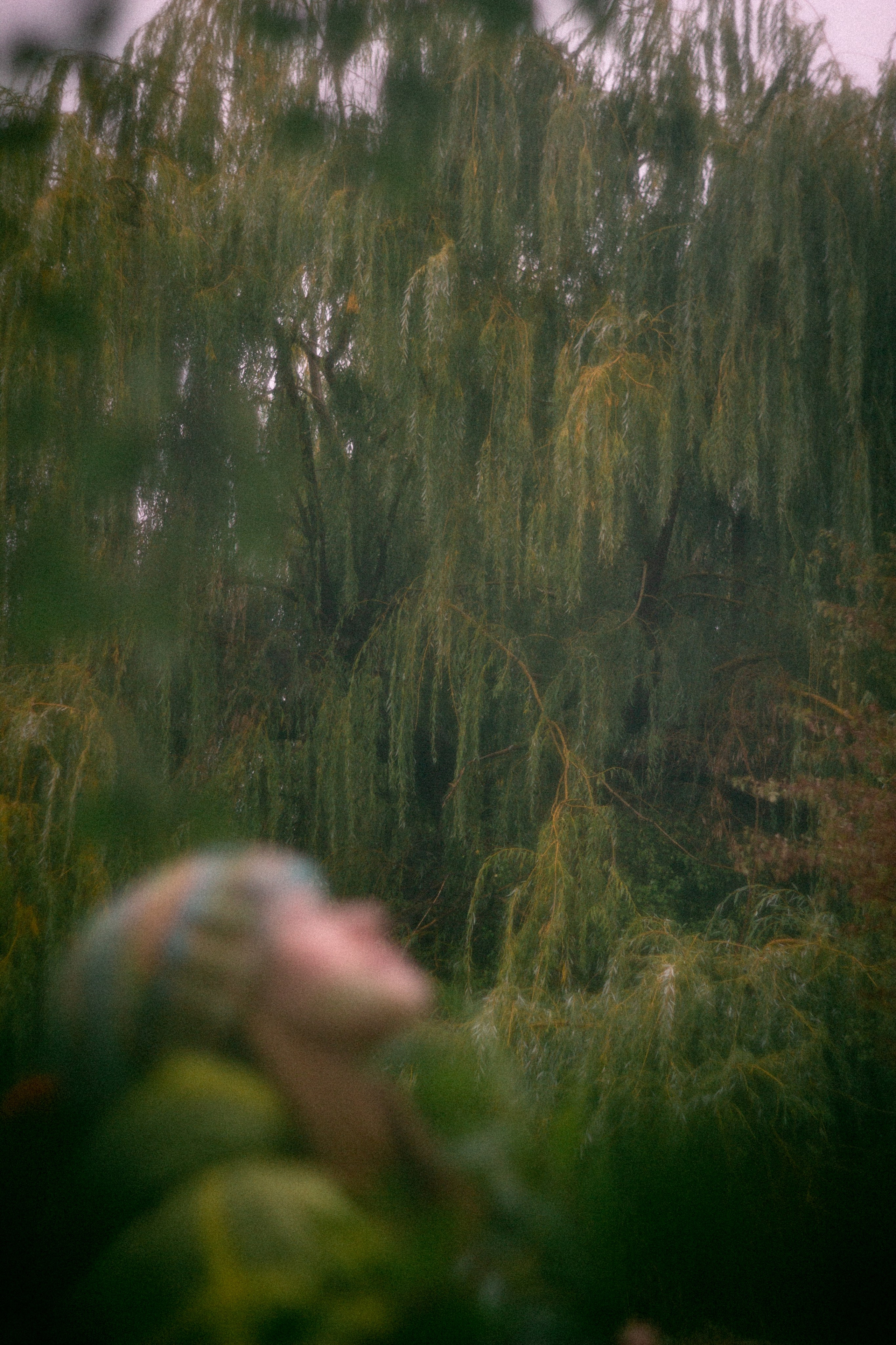 Туманная осень. • Фотограф Александра Светозар Алчевск •