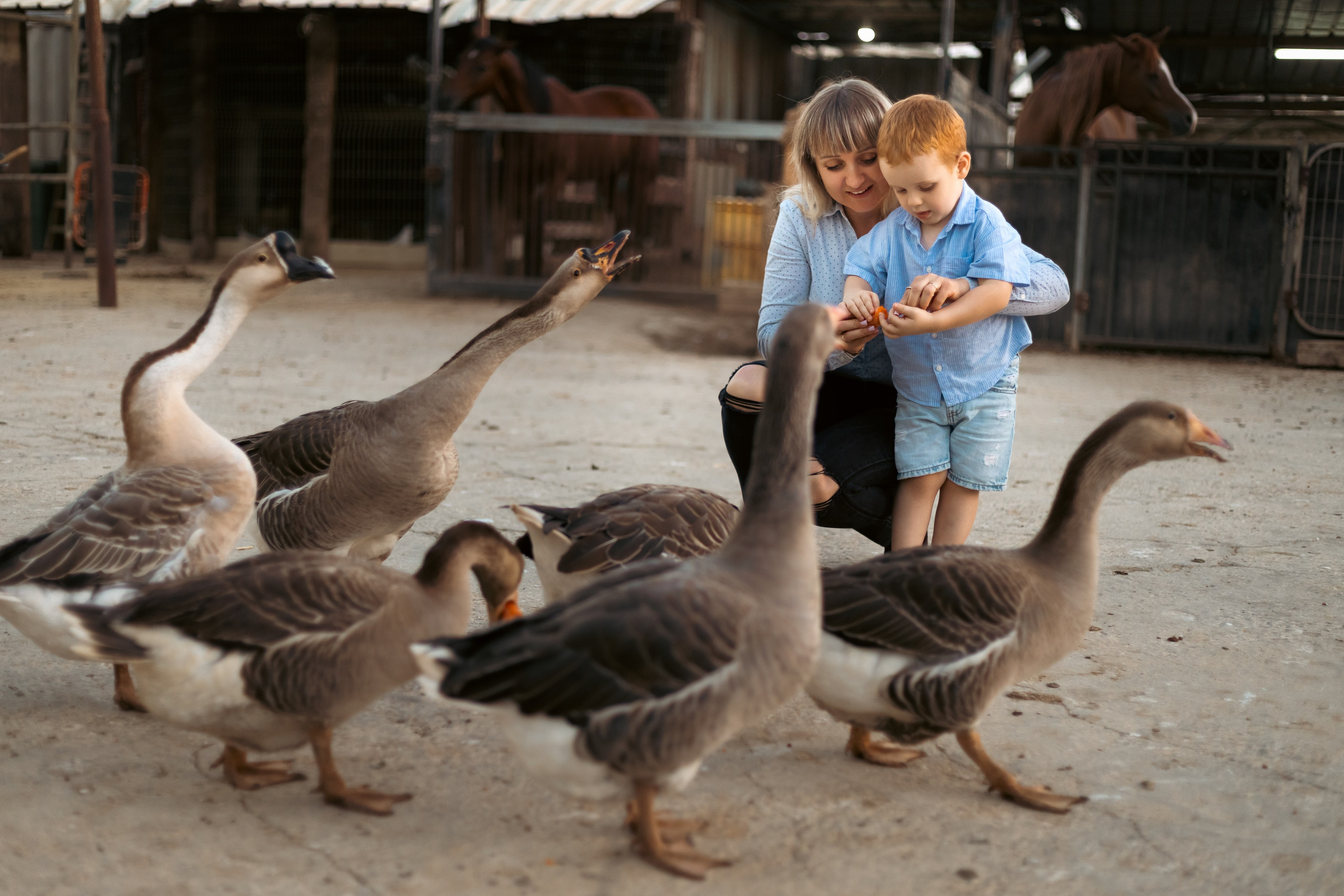 Анна и Амир. Семейный фотограф Израиль