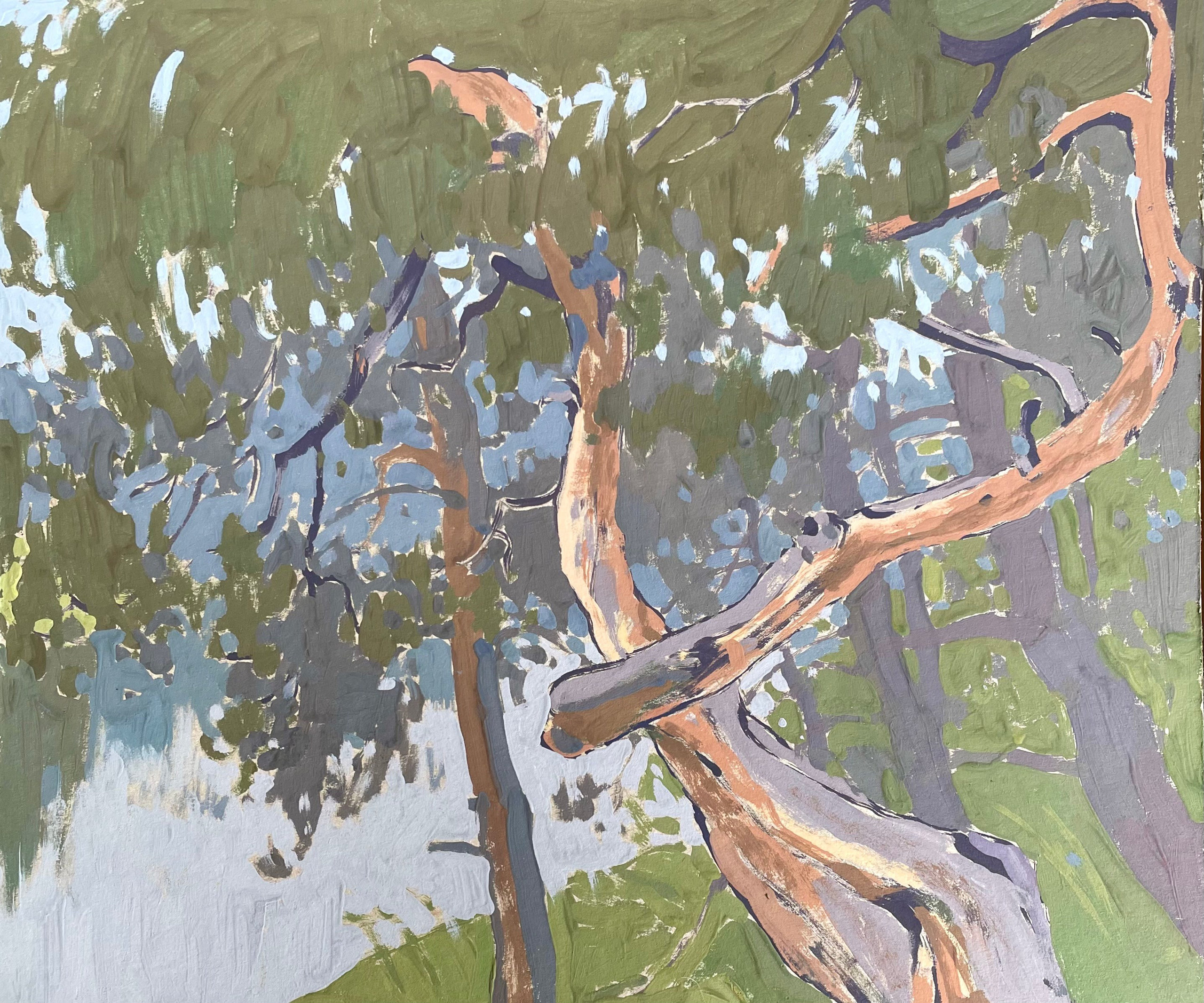 Вологодская область. Художница Лиза Владимирова