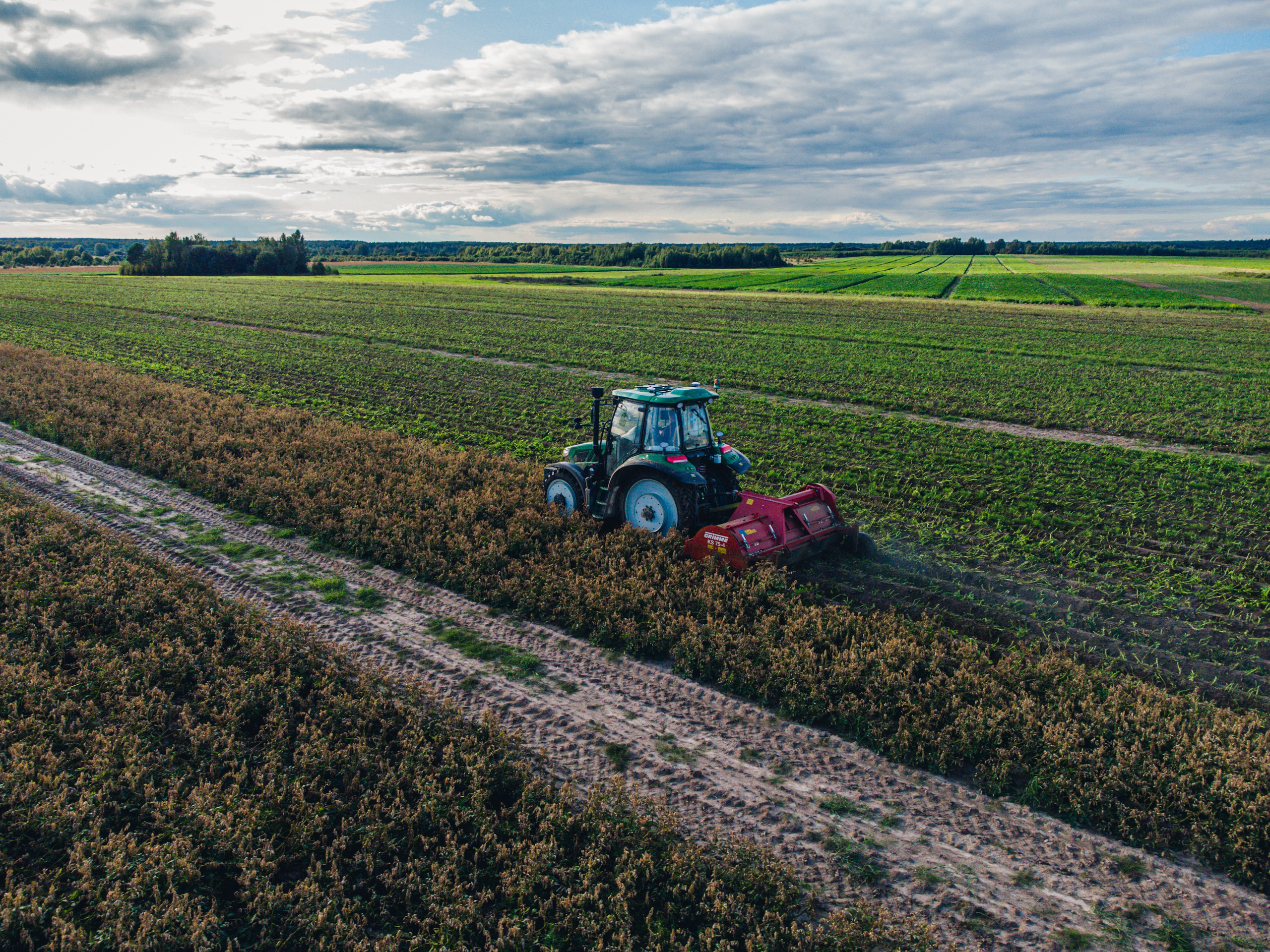 трактор в поле срезает ботву