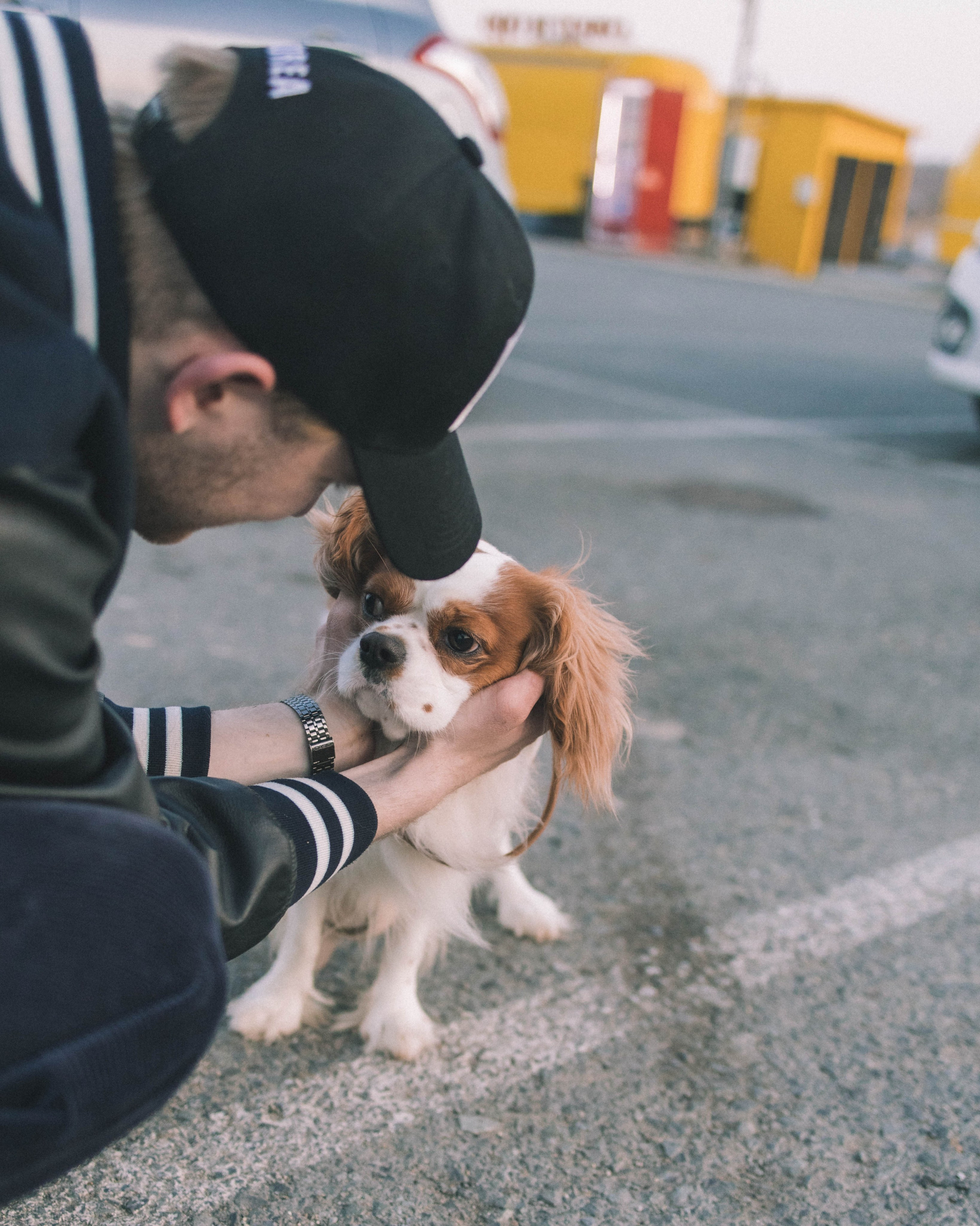 Кирилл и Мелания. Фотограф Виктория Куприянова