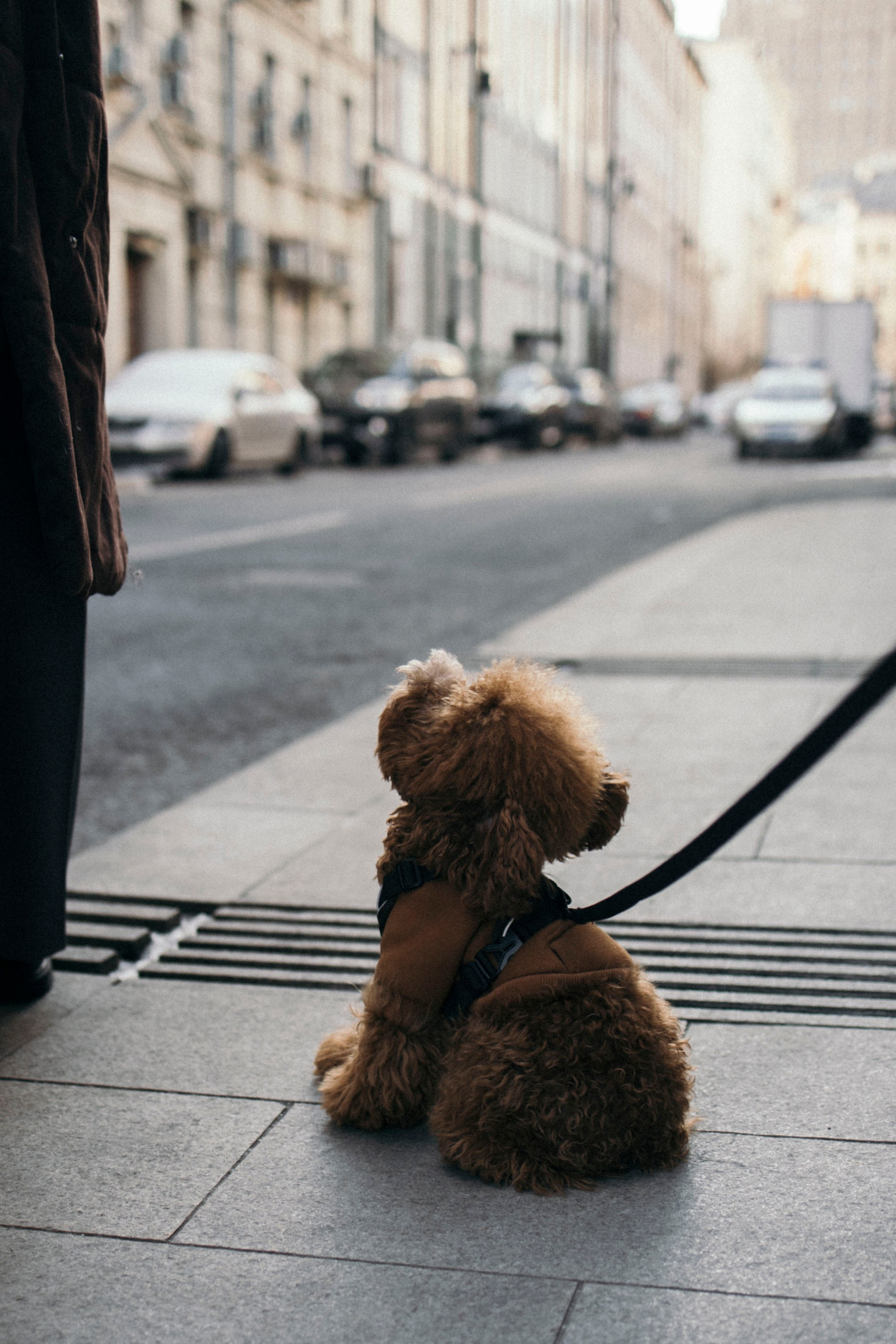 Мария и Ариша. Фотограф Виктория Куприянова