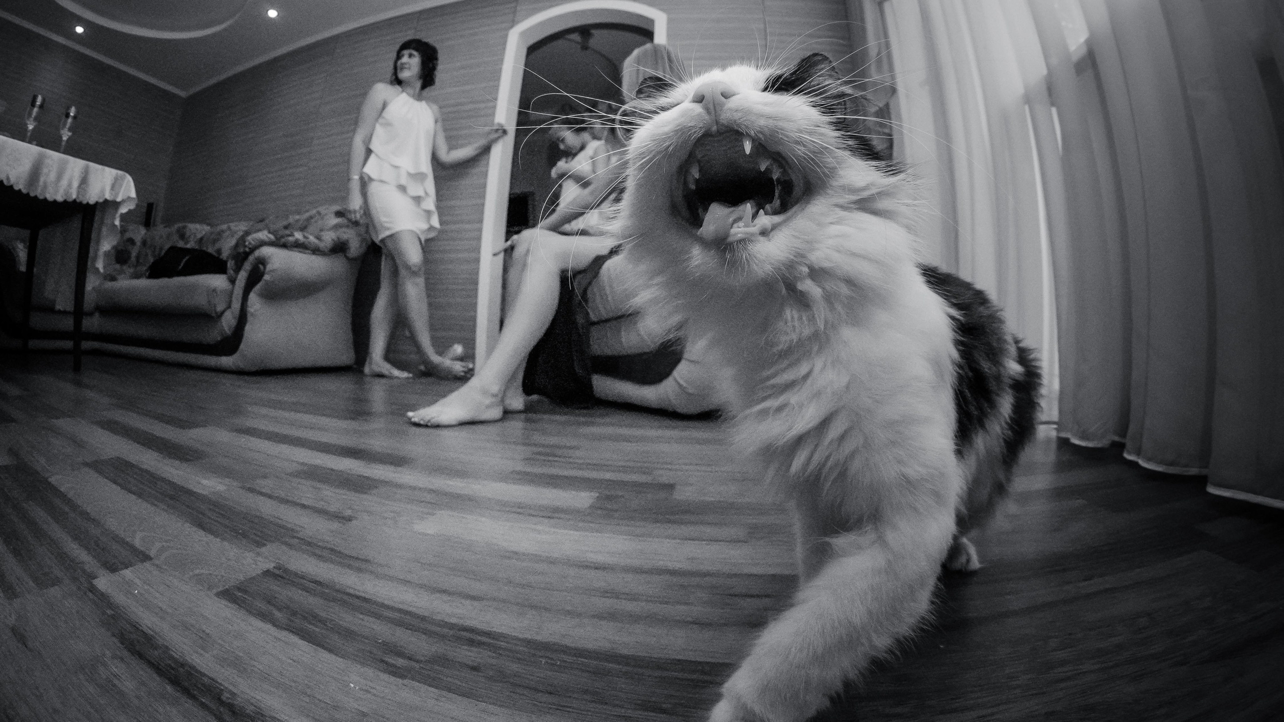 Свадебный микс. Портфолио. Свадебный фотограф в Москве Сергей Тимофеев