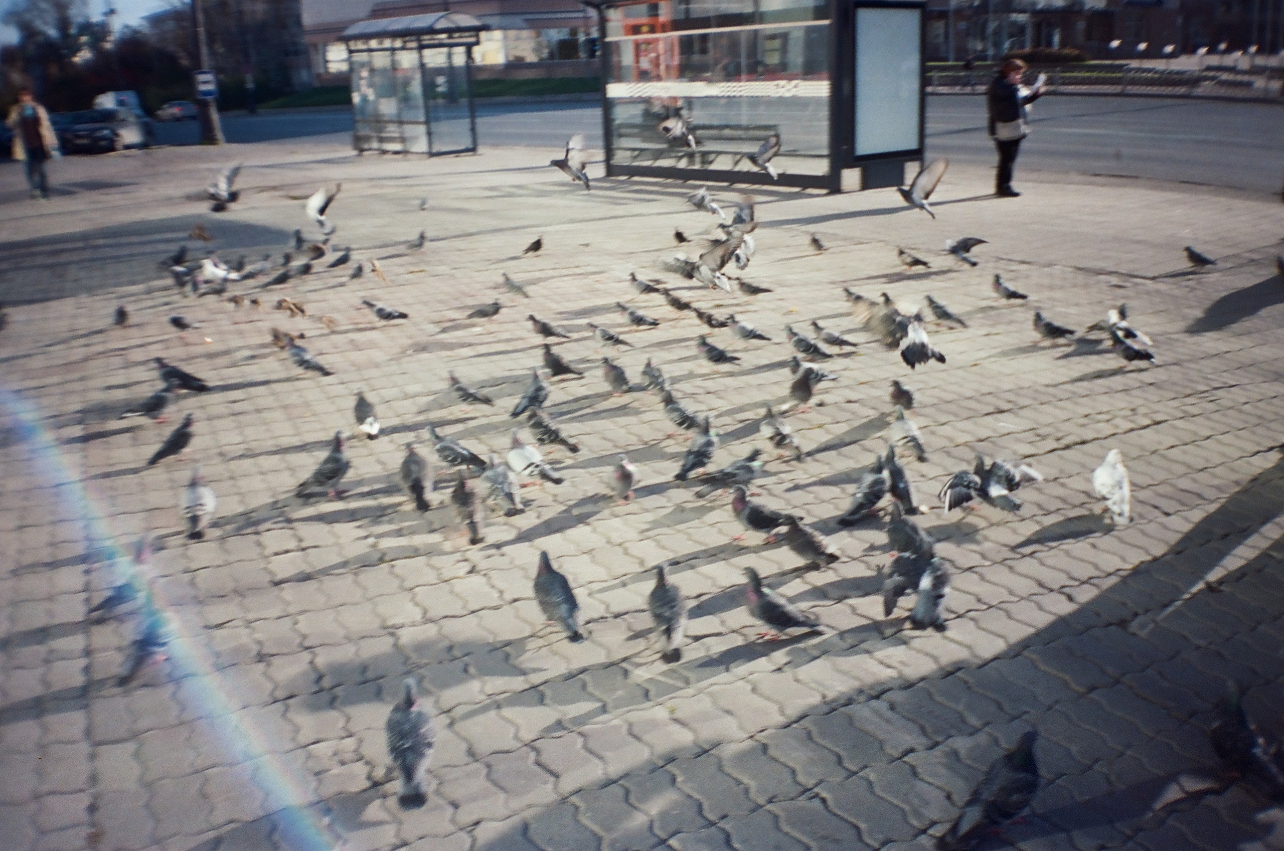 Kodak Portra 400. Место {не}банальных фото