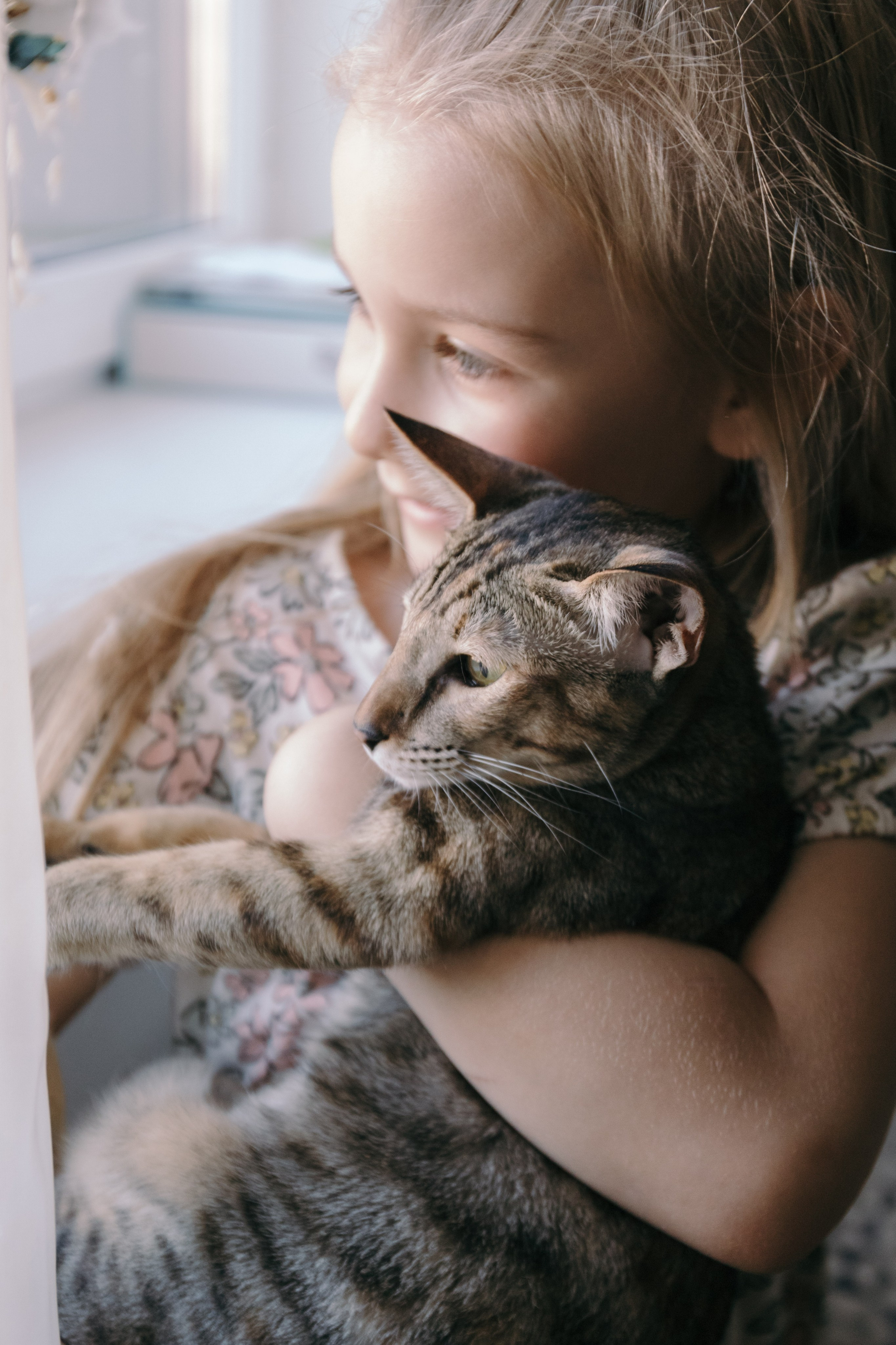 Семья и кошки. Фотограф Елена Балакина (Челябинск)