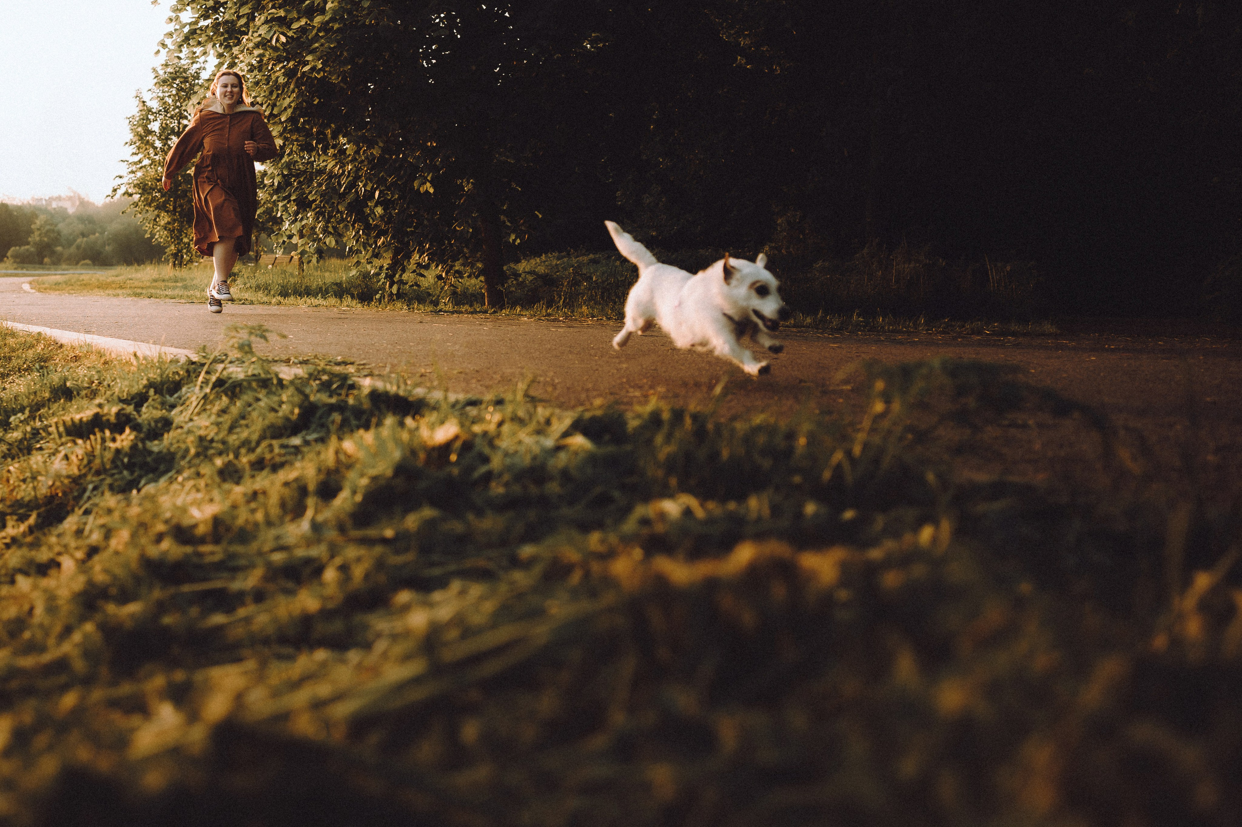 Фифа, Кнопка, Бублик и их семья