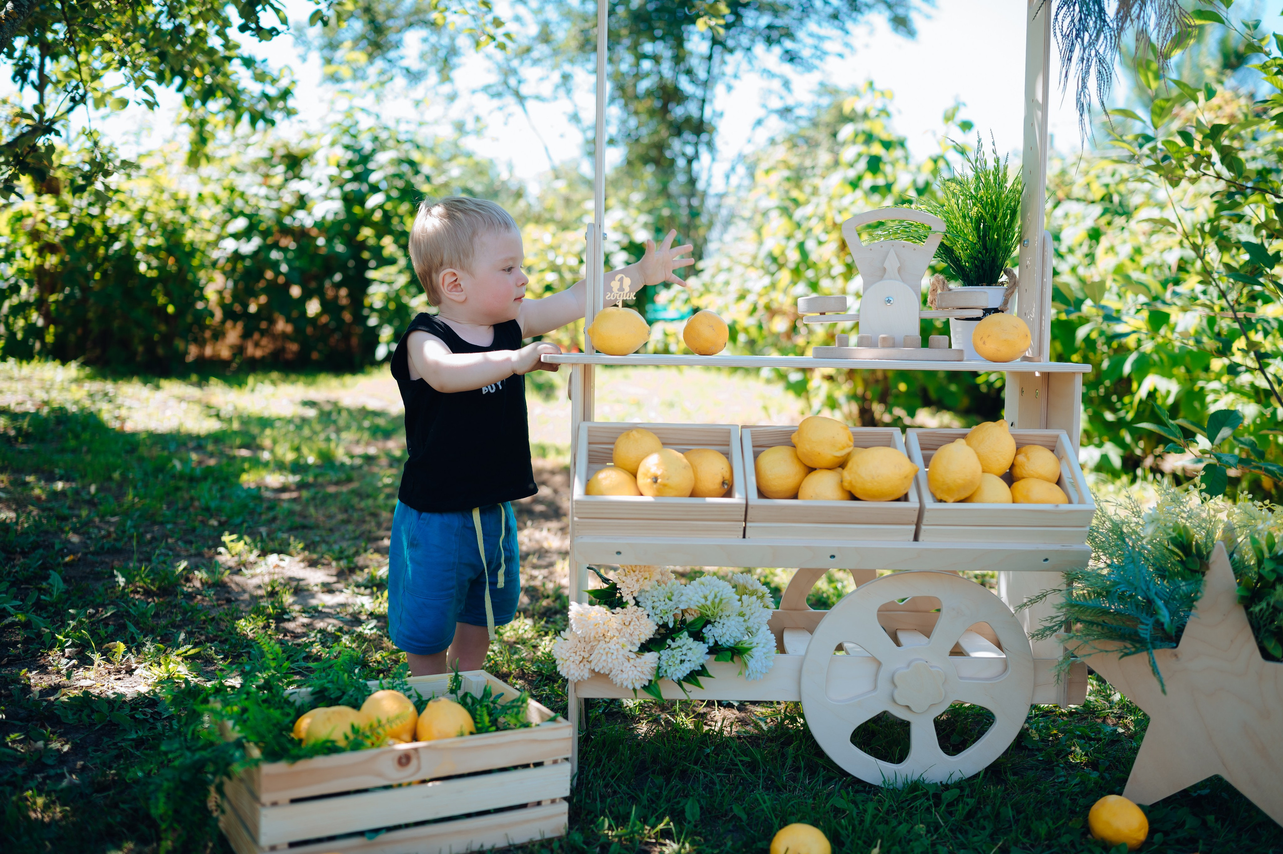 Ромашка. Детский и семейный фотограф Катерина Мишина