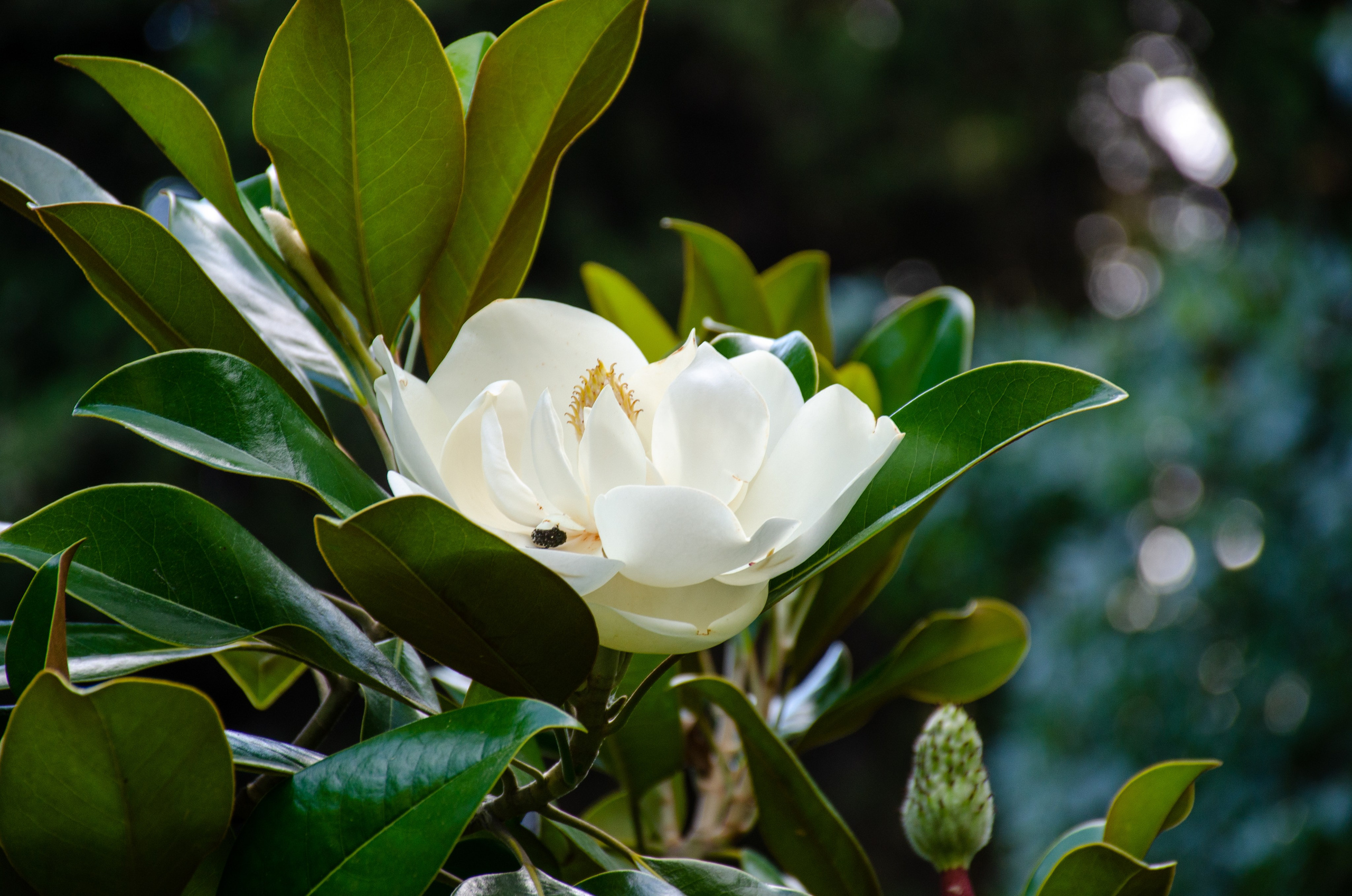 Путешествия. Фотограф и ретушер Самохвалова Ольга