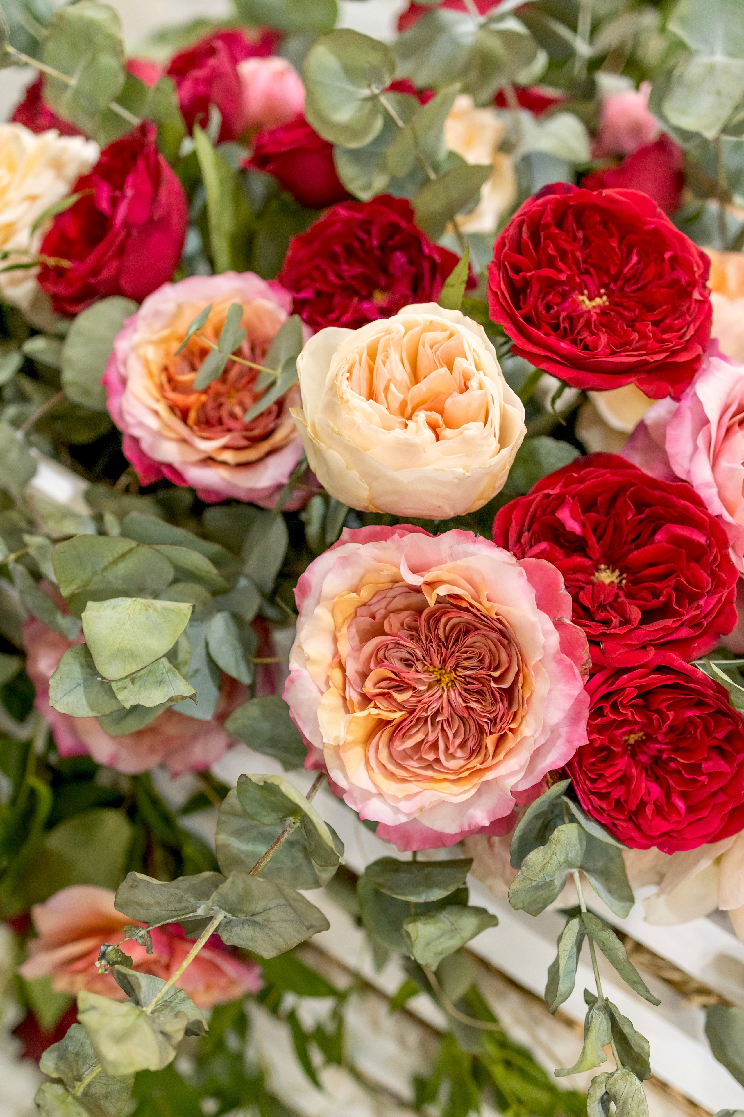 Цветы-Экспо 2024. Фотосессии и репортаж — Фотограф в Москве — Рина Серёгина