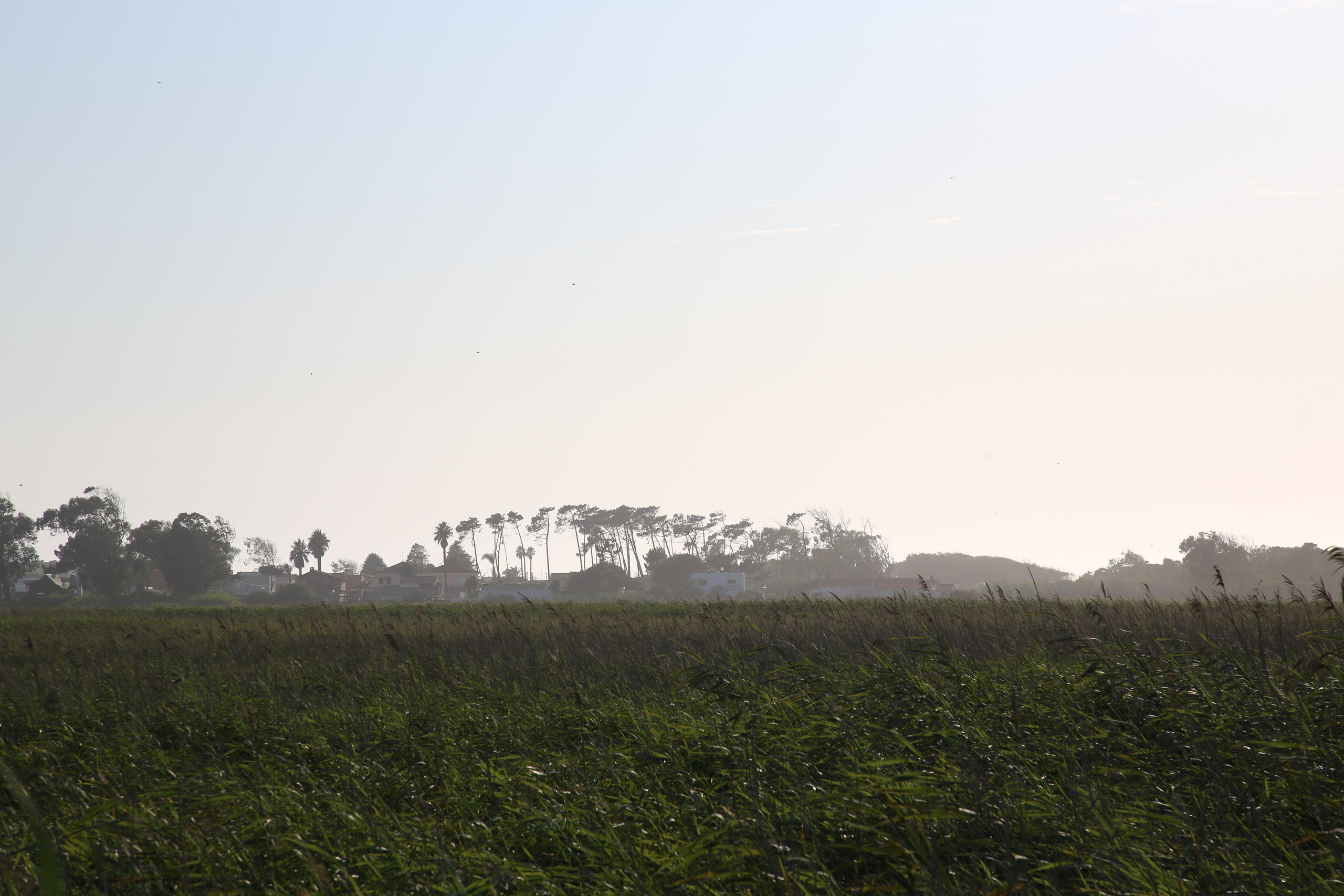 Esmoriz, Portugal. Andrey Filippov Photographer