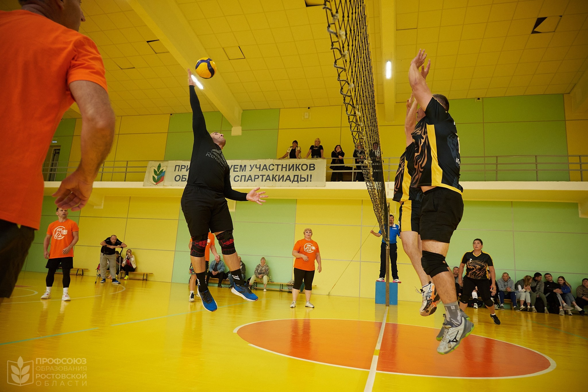 Спортивный репортаж: волейбол. Репортажный фотограф | Леонид Черков