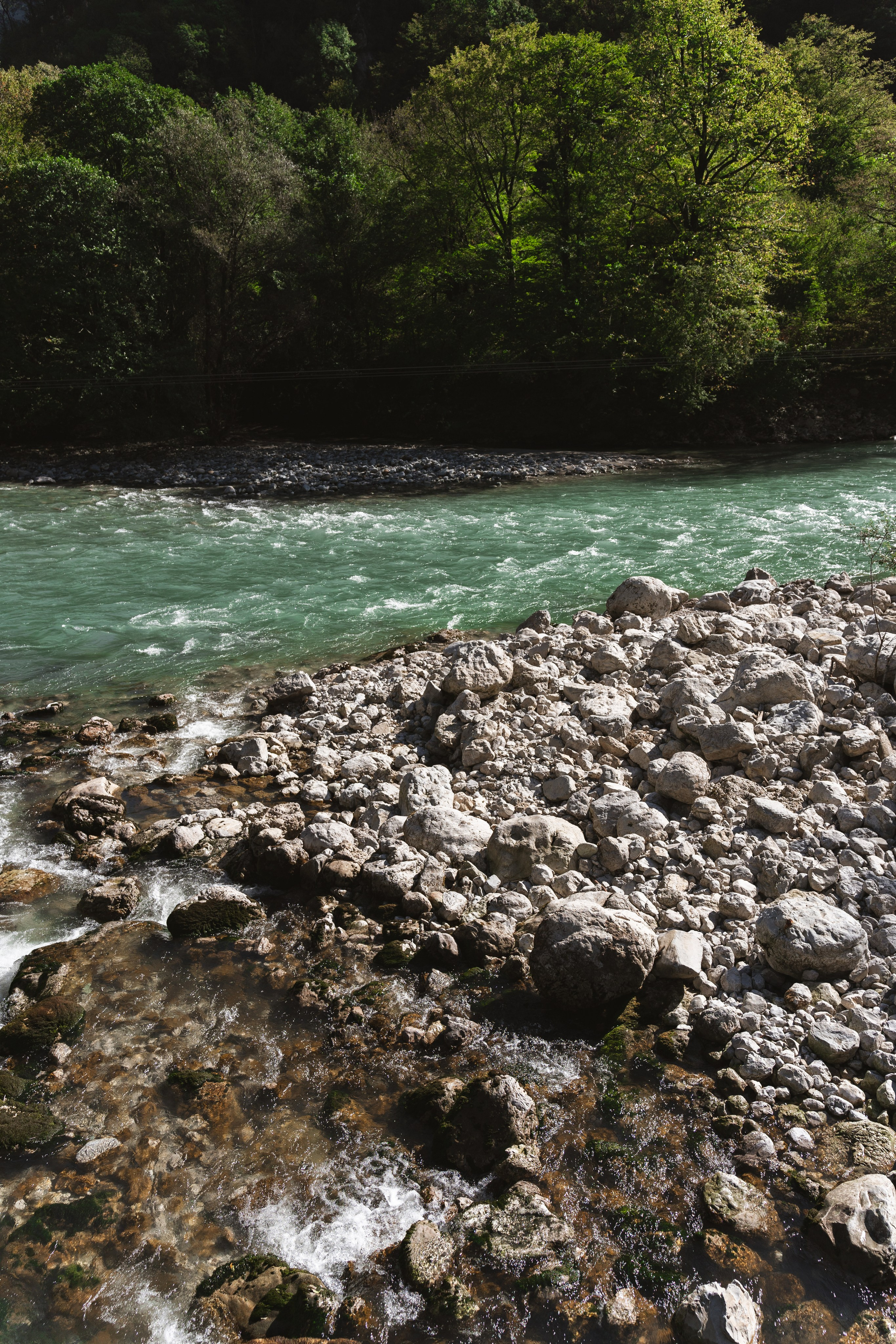Фотографии из поездки в Абхазию. Предметный фотограф Санкт-Петербург