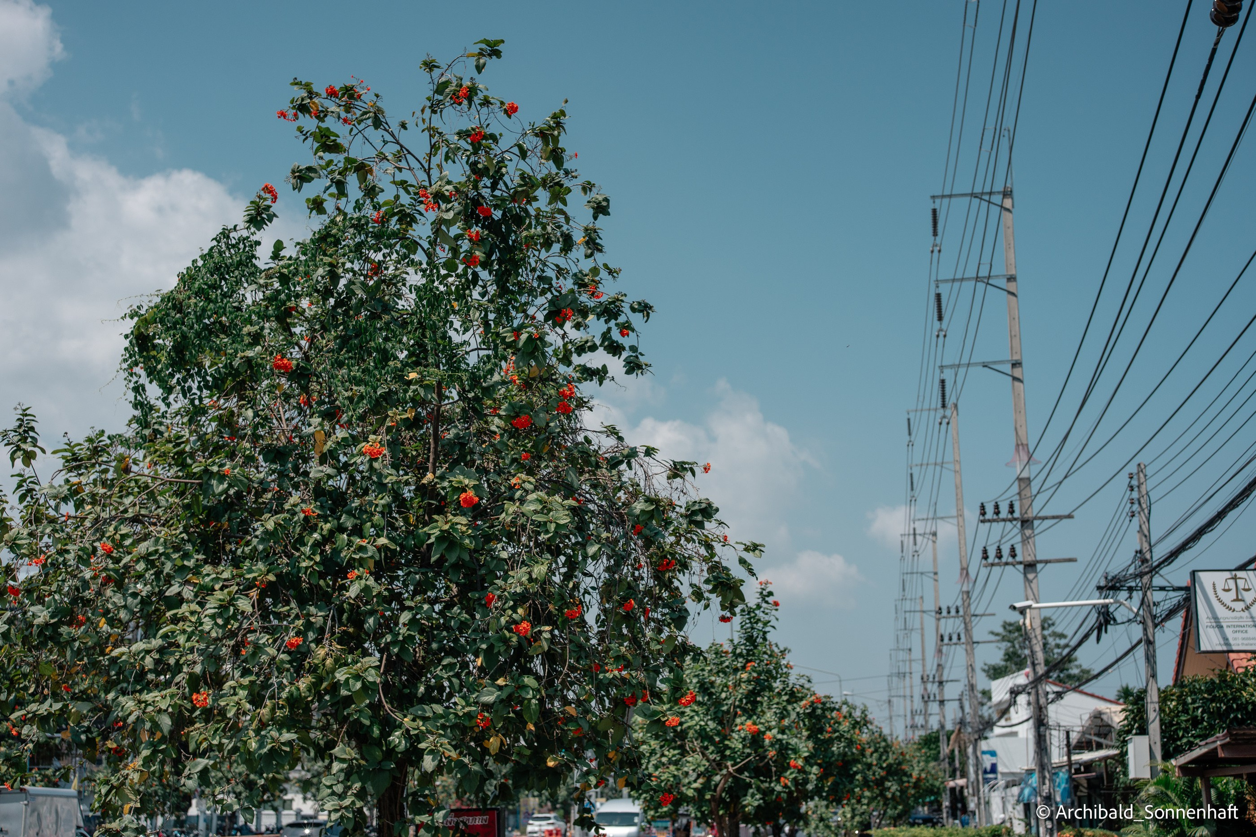 Couple of days in Thai. Photographer in Guangzhou, China. Archibald Sonnenhaft