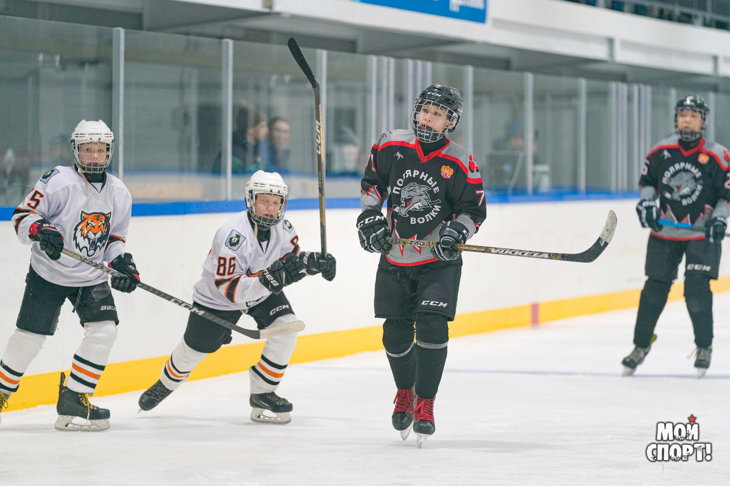 Первенство ДФО по хоккею. Студия «Мой Спорт!» — все о спорте в Якутии