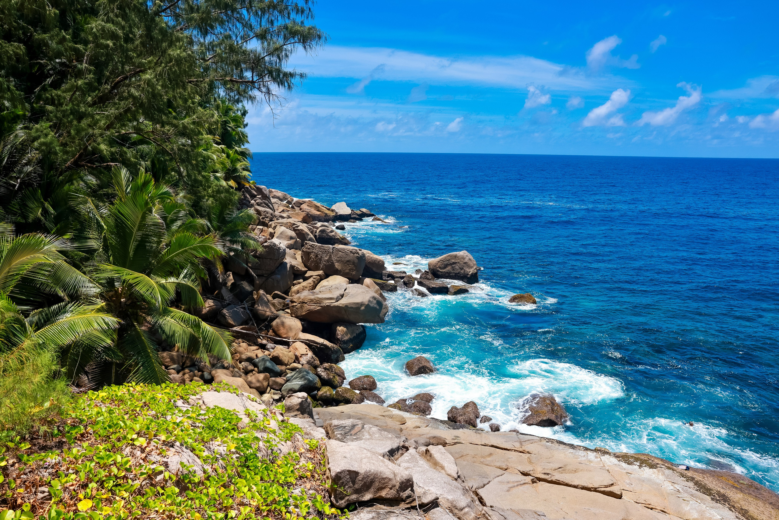 Йога-тур на Сейшелы. Дарья Бухреева — фотограф, видеограф и фототерапевт. Москва и мир