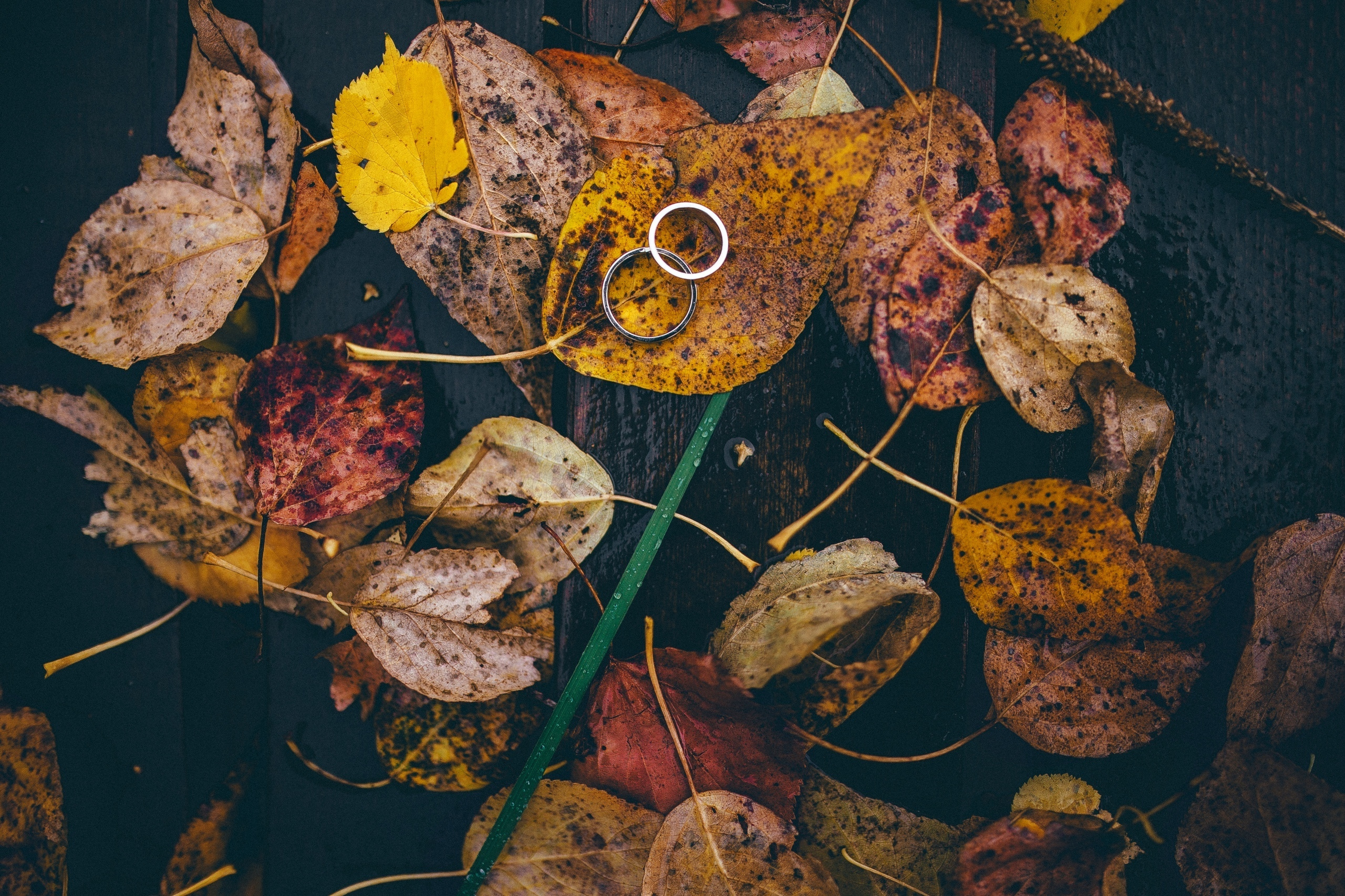 Свадебный. Свадебный и семейный фотограф в Екатеринбурге Михаил Лежнев